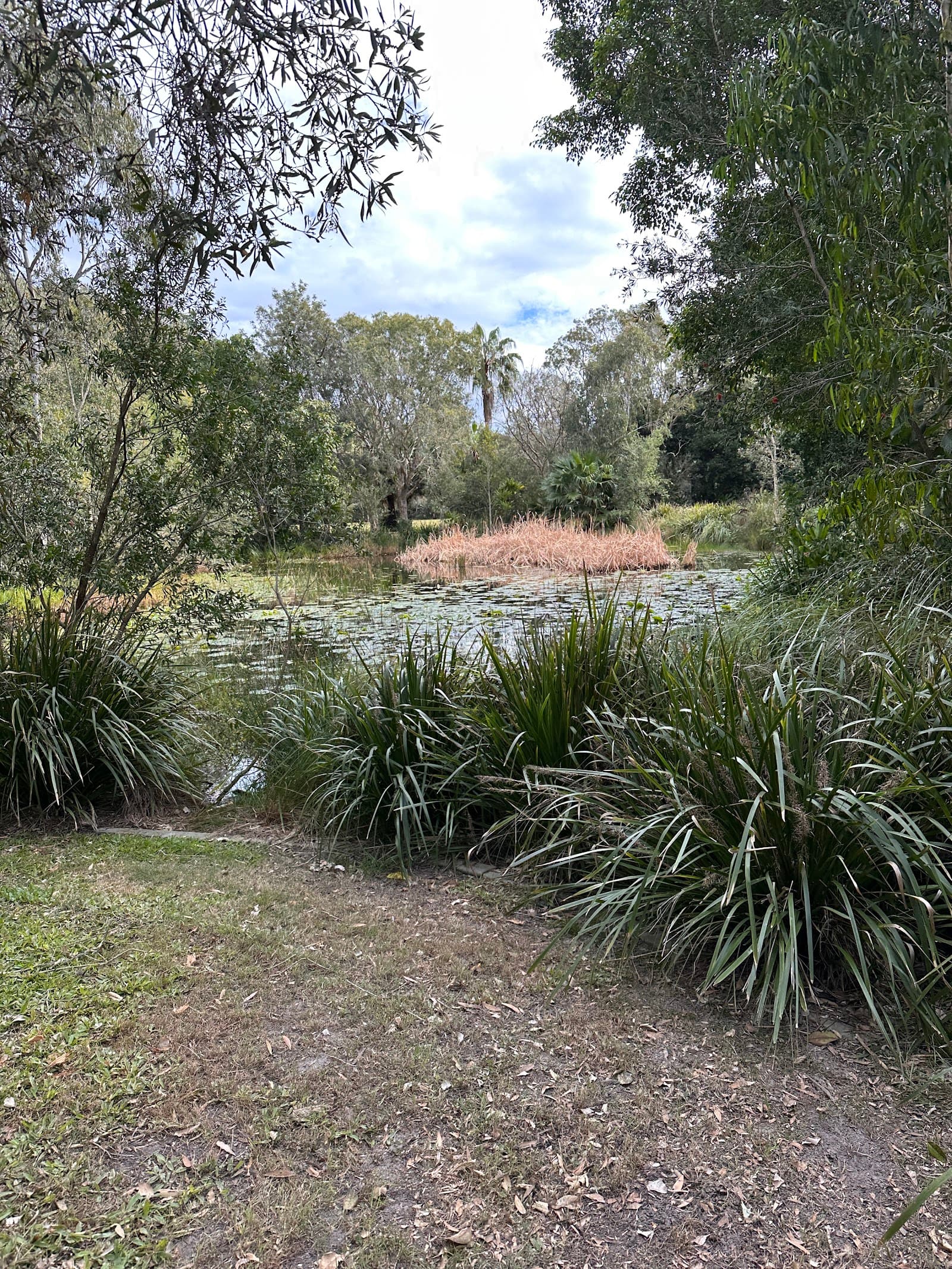 Jessica Park — Kawana Waters, Sunshine Coast