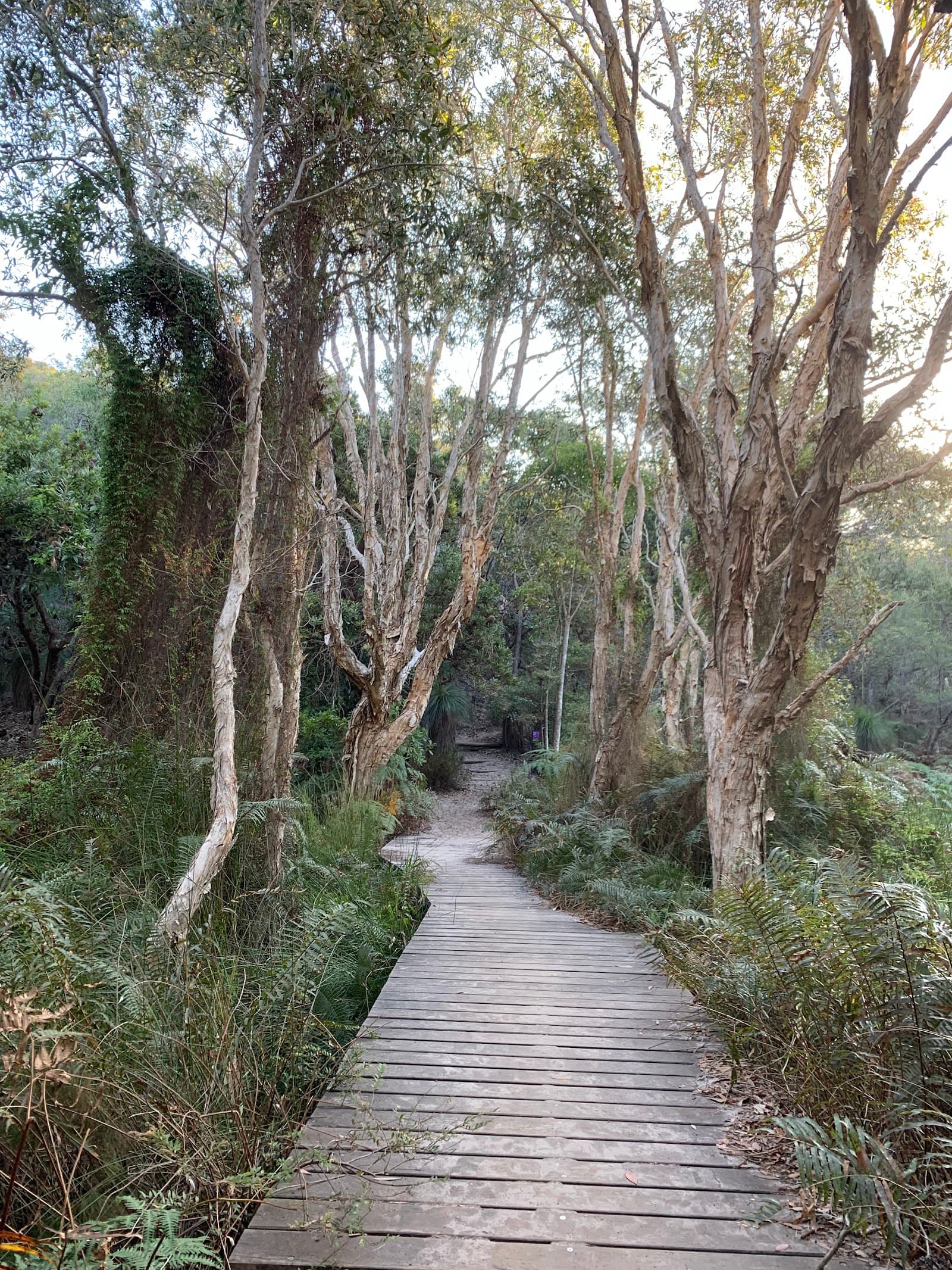 Alexandria Bay — Noosaville, Sunshine Coast