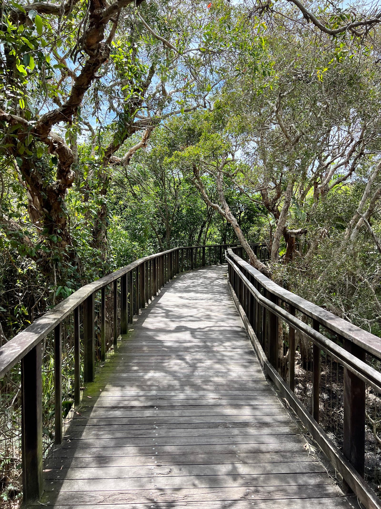 The Boardwalk Mount Coolum — Marcoola, Sunshine Coast