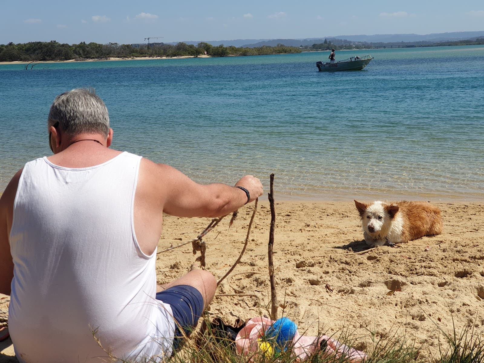 Dog Beach, Mudjimba — Eumundi, Sunshine Coast