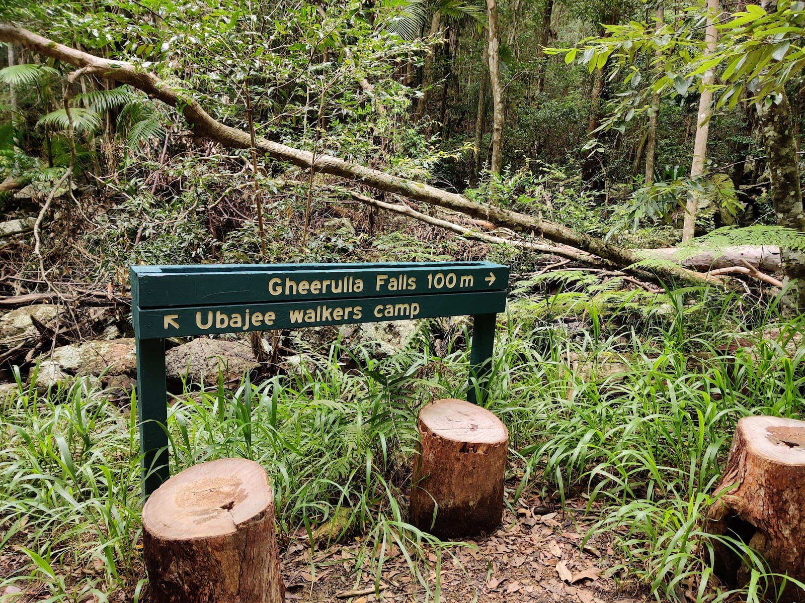 Gheerulla Falls — Montville, Sunshine Coast