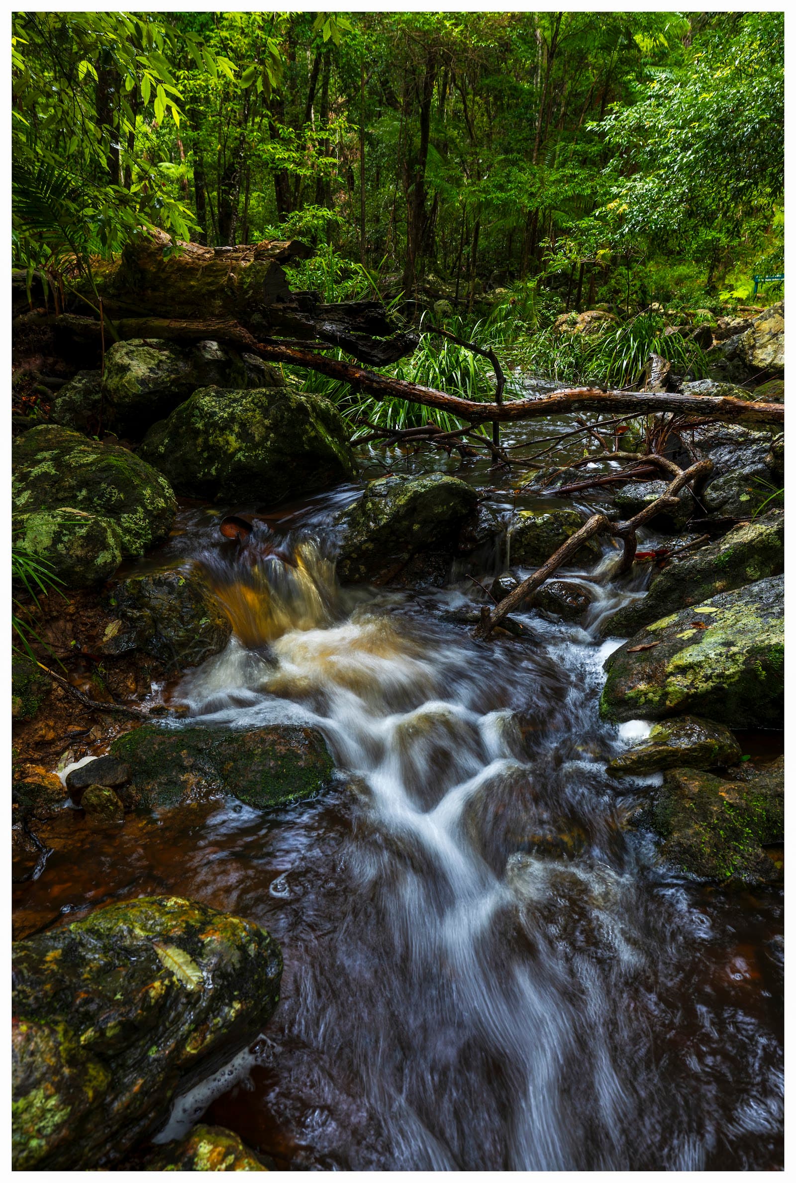 Gheerulla Falls — Montville, Sunshine Coast
