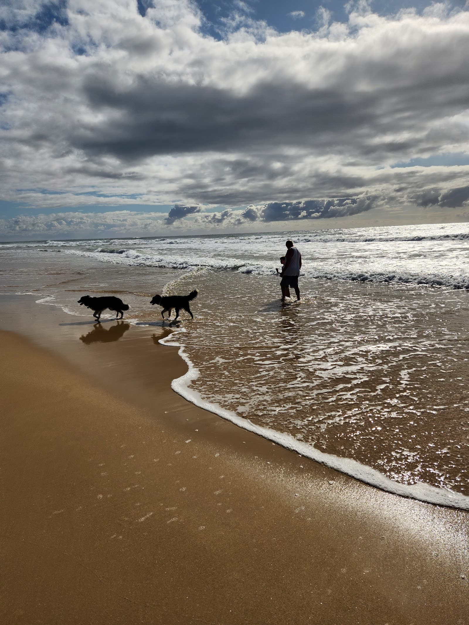 Dog Friendly Beach access 226-247 — Kawana Waters, Sunshine Coast