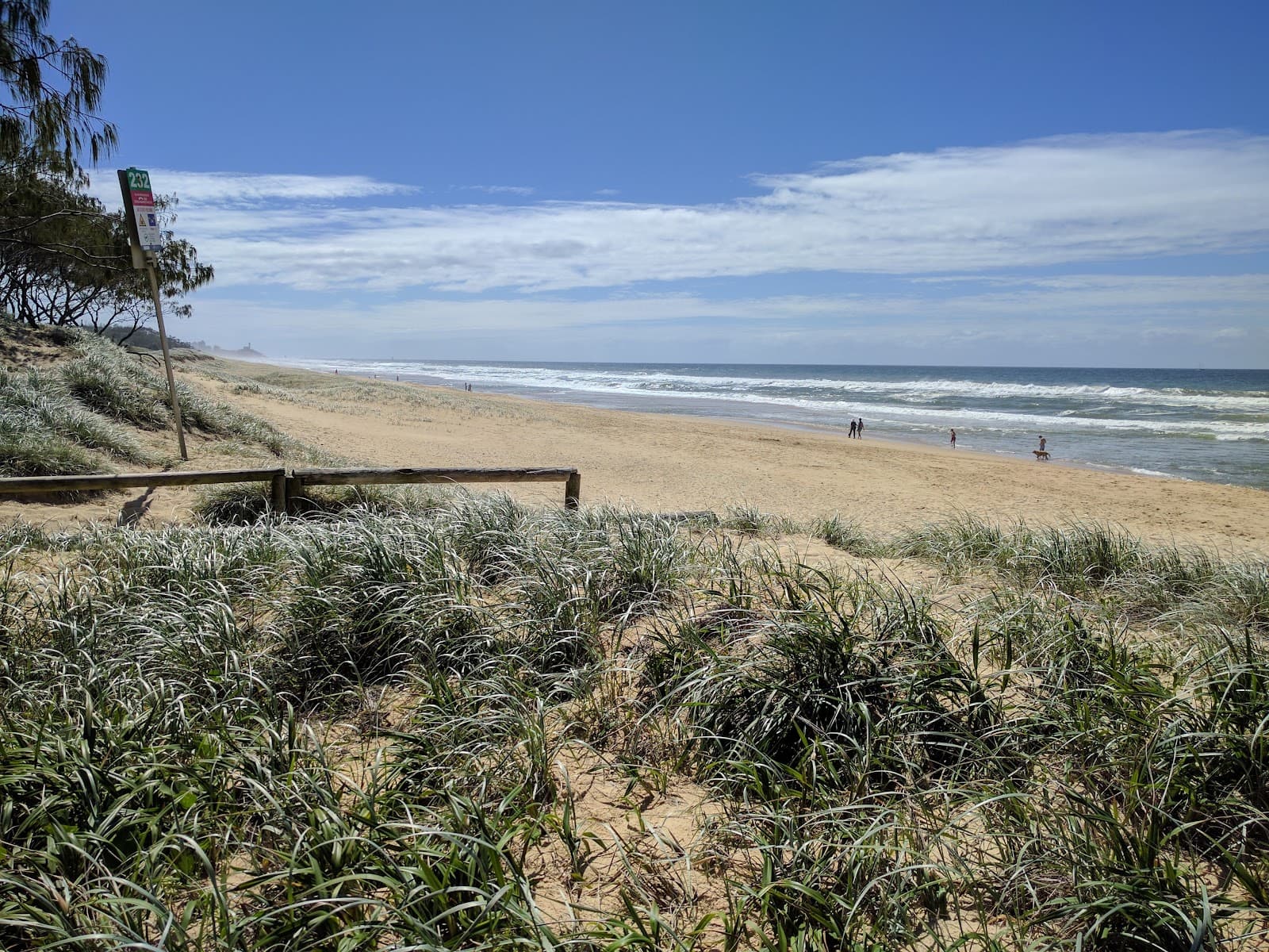 Dog Friendly Beach access 226-247 — Kawana Waters, Sunshine Coast