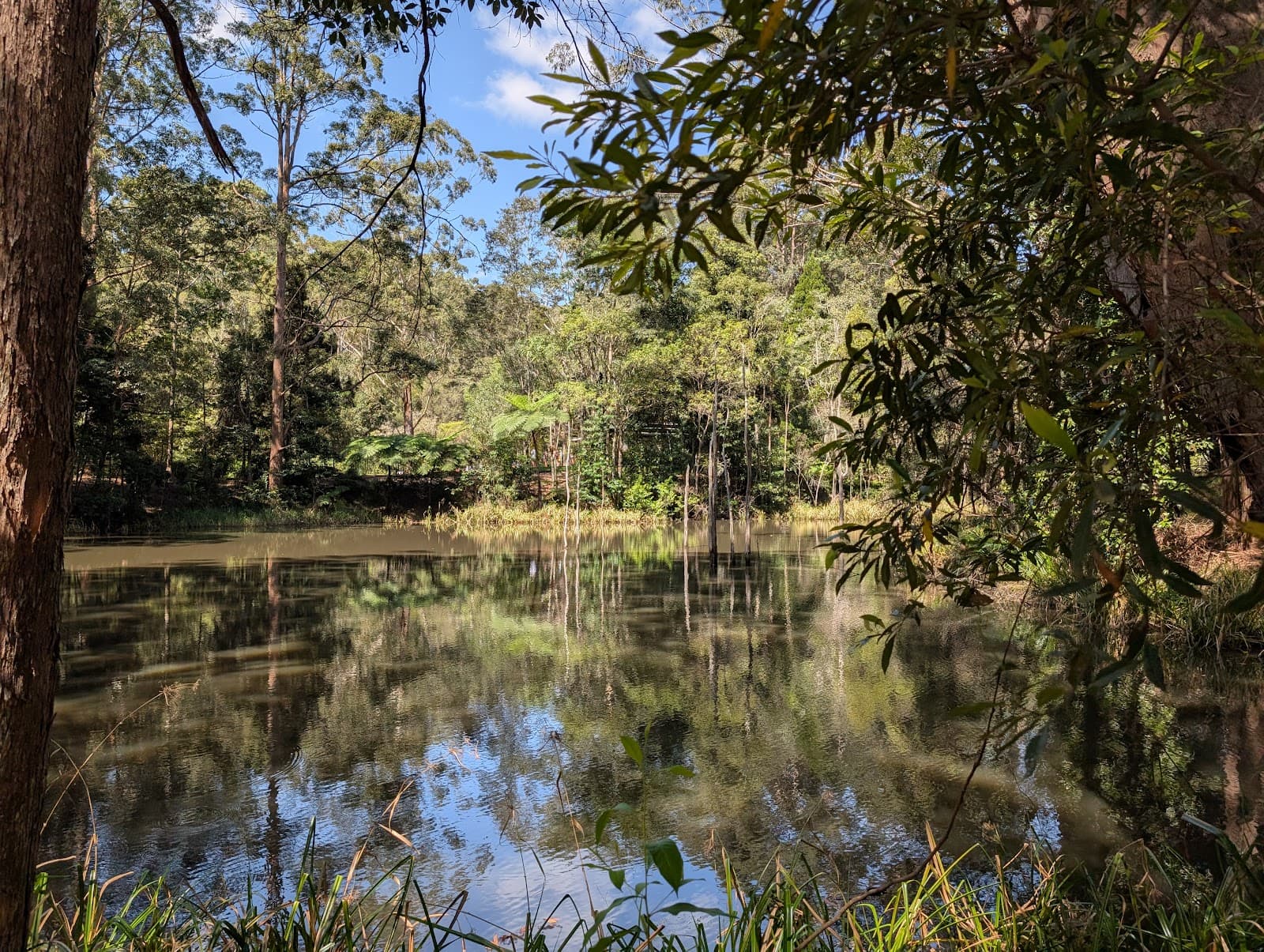 Maroochy Regional Bushland Botanic Garden — Buderim, Sunshine Coast