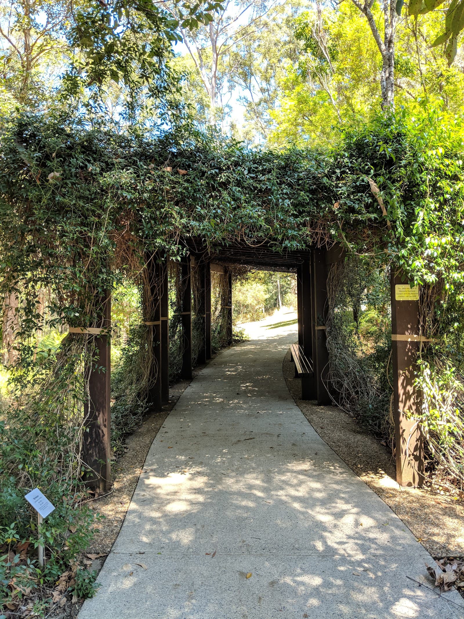 Maroochy Regional Bushland Botanic Garden — Buderim, Sunshine Coast