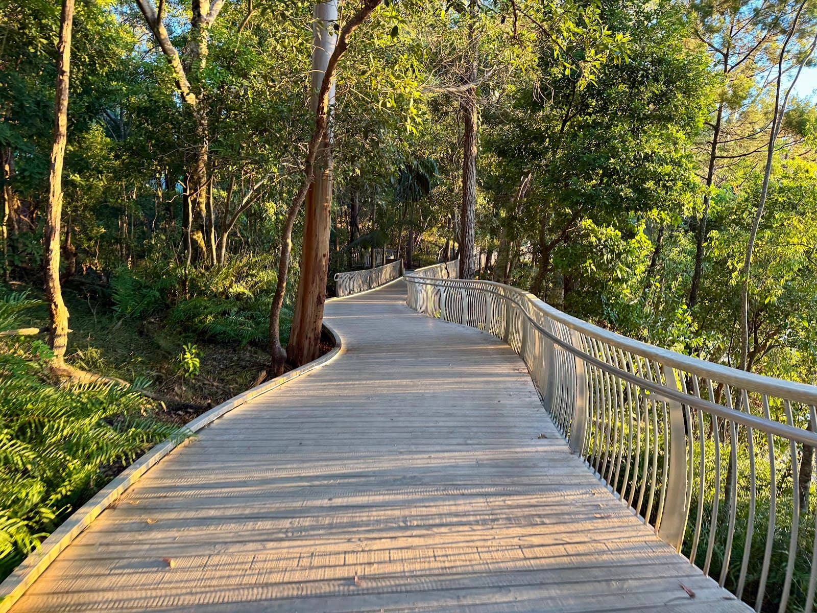 Noosa Coastal Boardwalk — Noosaville, Sunshine Coast