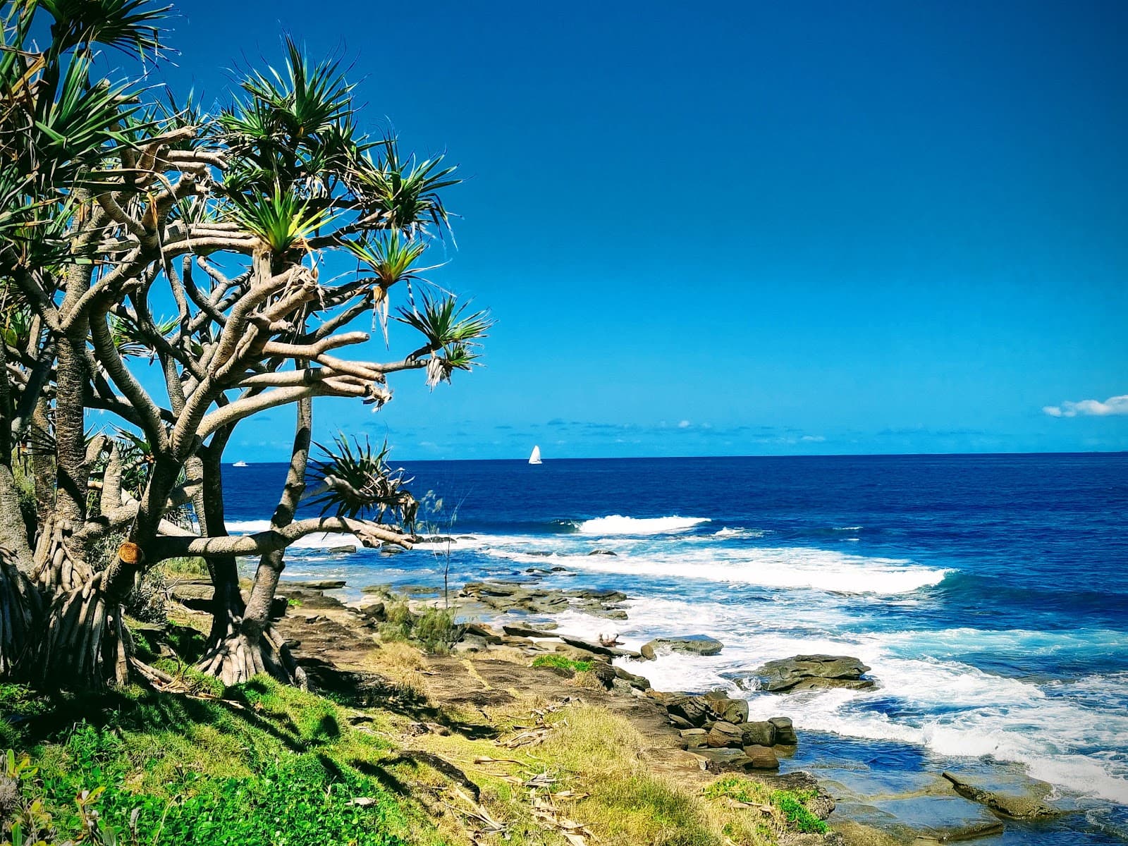 Caloundra Headland Foreshore Reserve — Caloundra, Sunshine Coast