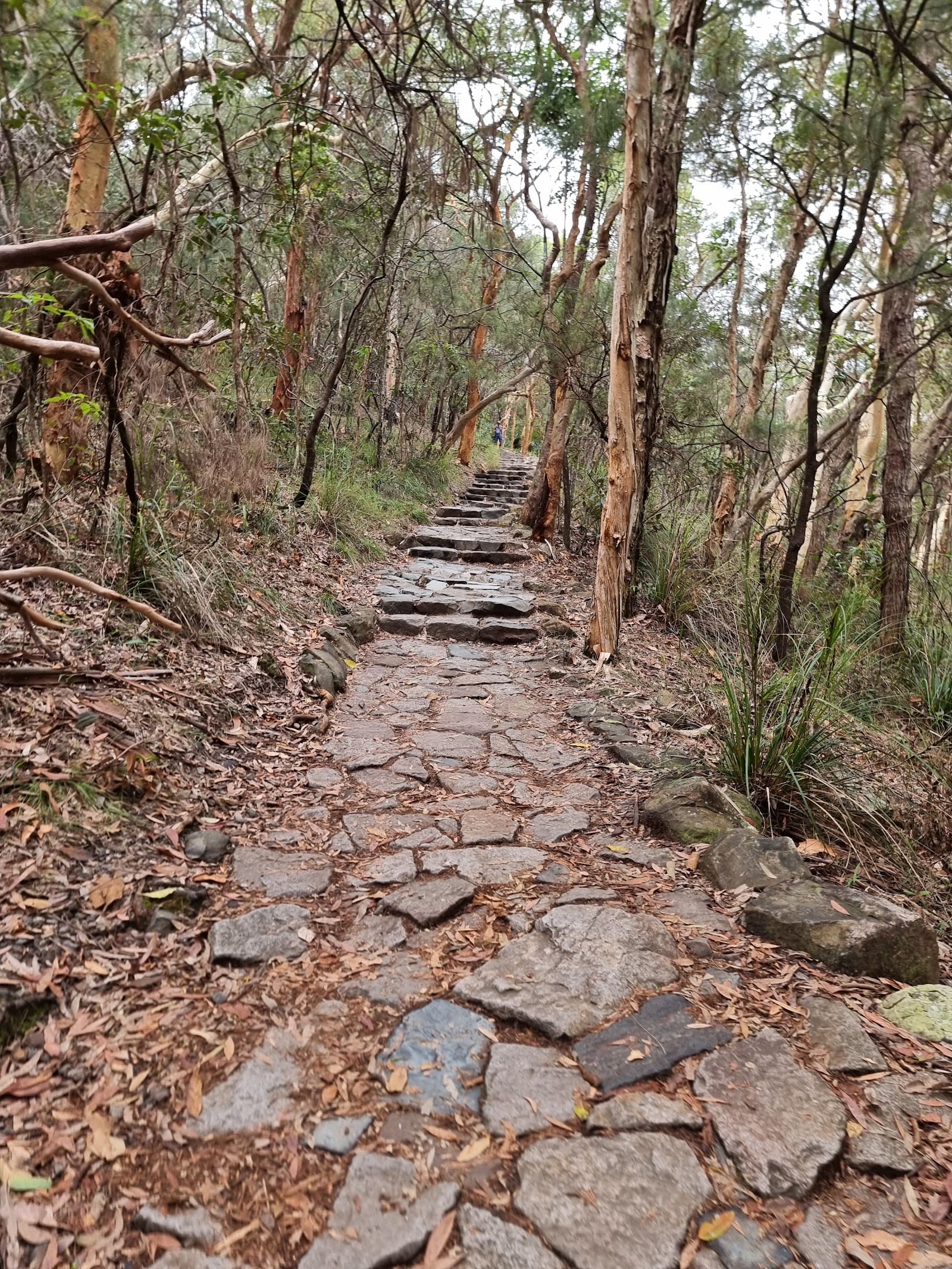 Mount Coolum summit — Marcoola, Sunshine Coast
