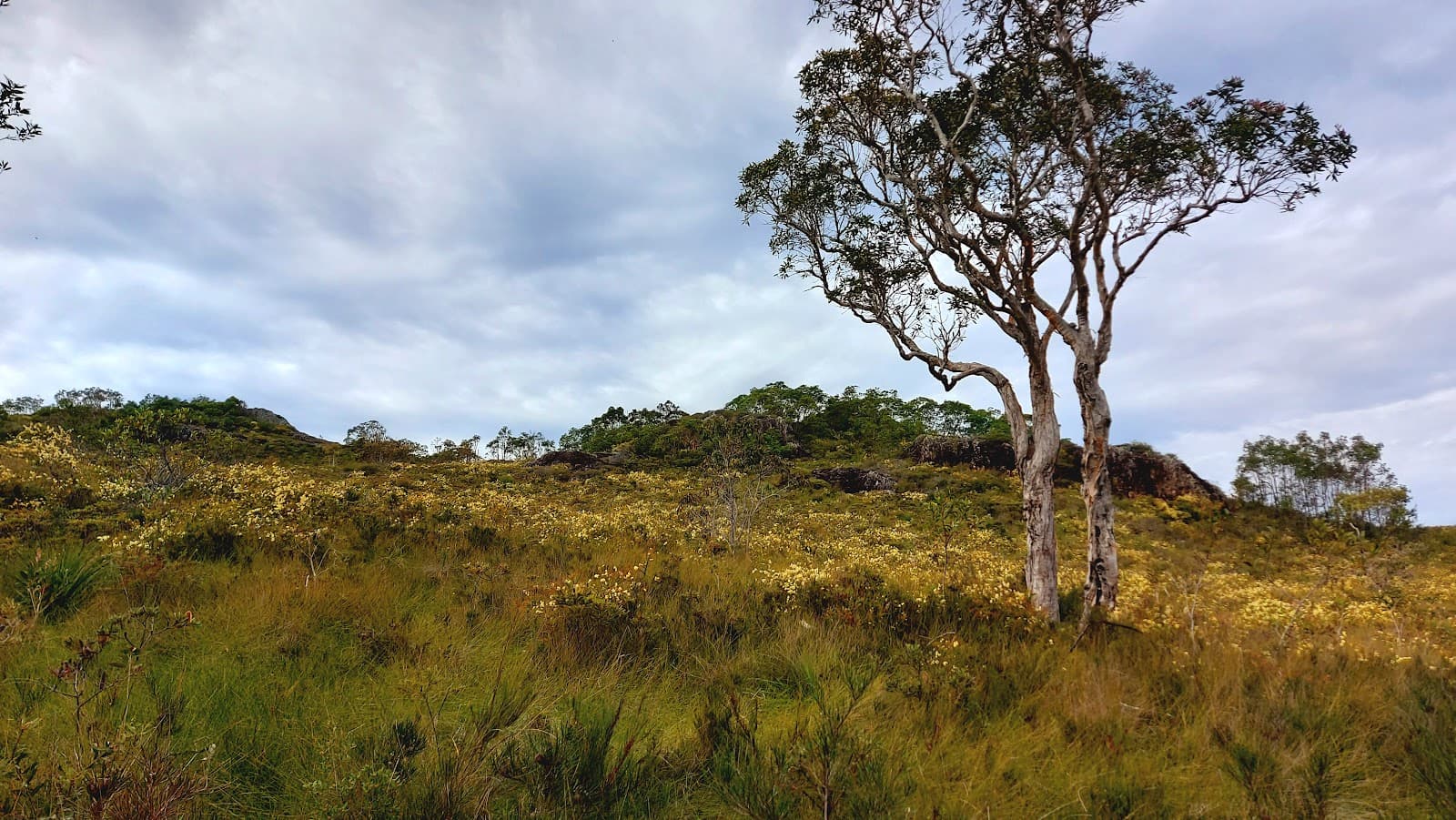 Emu Mountain — Peregian Beach, Sunshine Coast