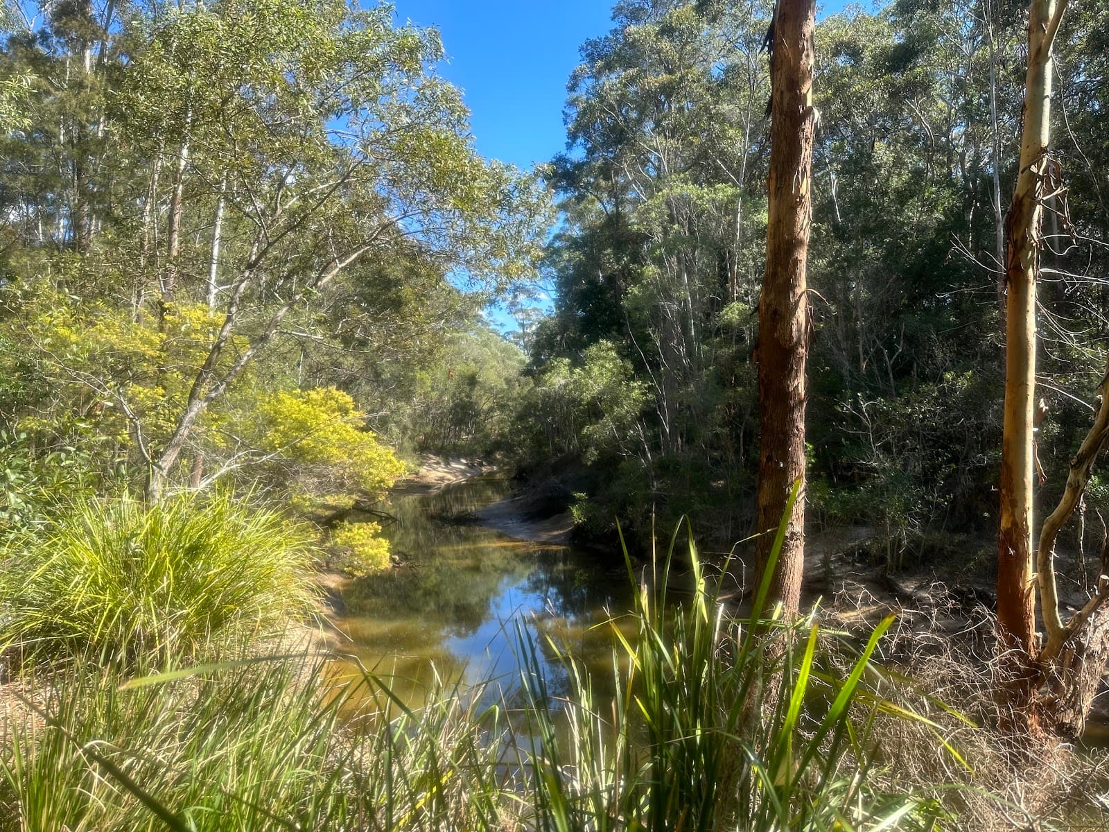 Mountain Creek Recreational Trail — Buderim, Sunshine Coast