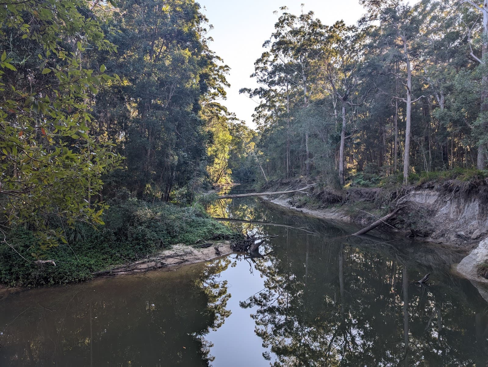 Mountain Creek Conservation Area — Buderim, Sunshine Coast