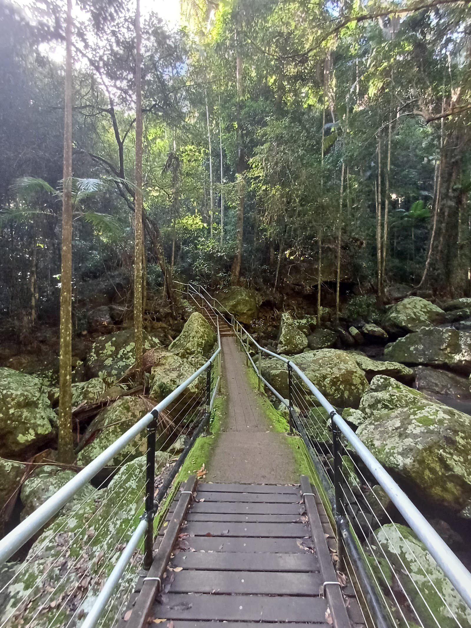 Leafy Lane Trail Head (Great Walk! Sunshine Coast Hinterland) — Montville, Sunshine Coast