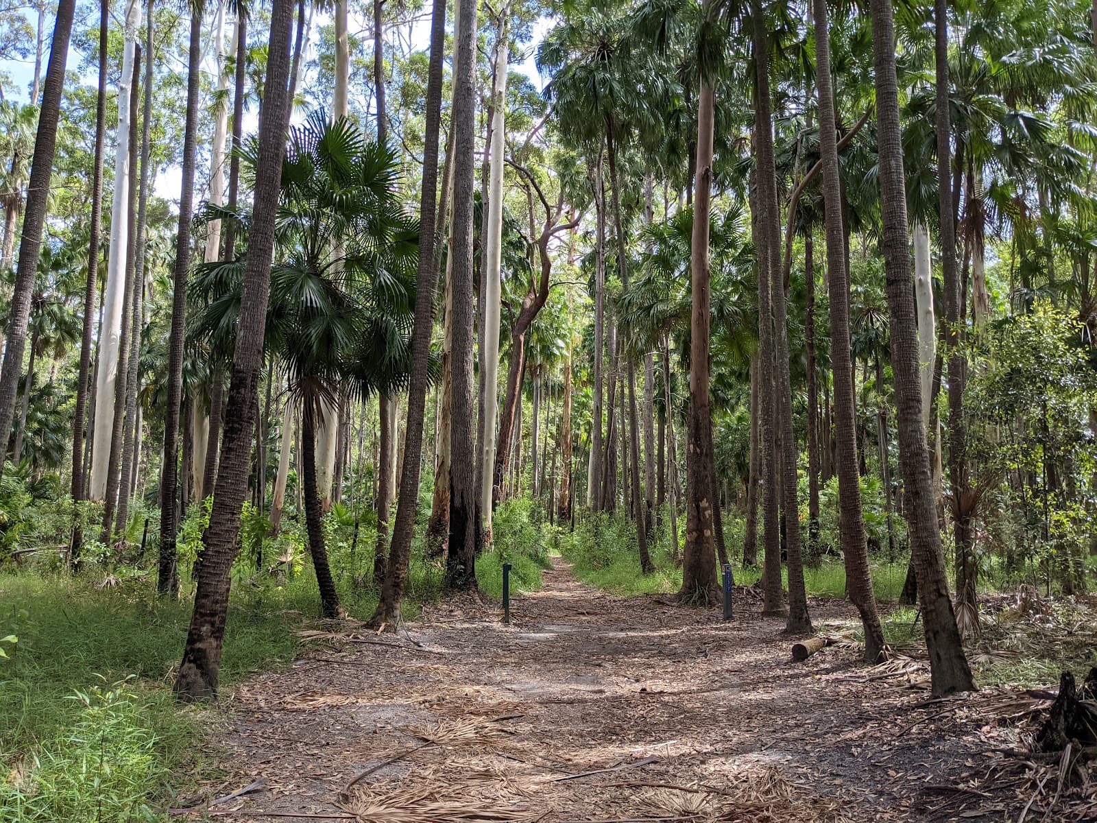 Wooroi Day Use Area — Eumundi, Sunshine Coast