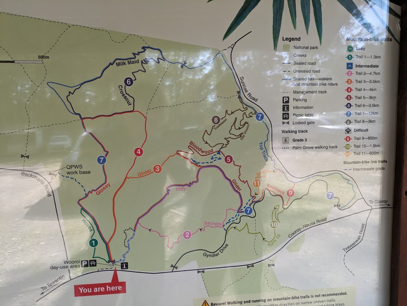 Wooroi Day Use Area — Eumundi, Sunshine Coast