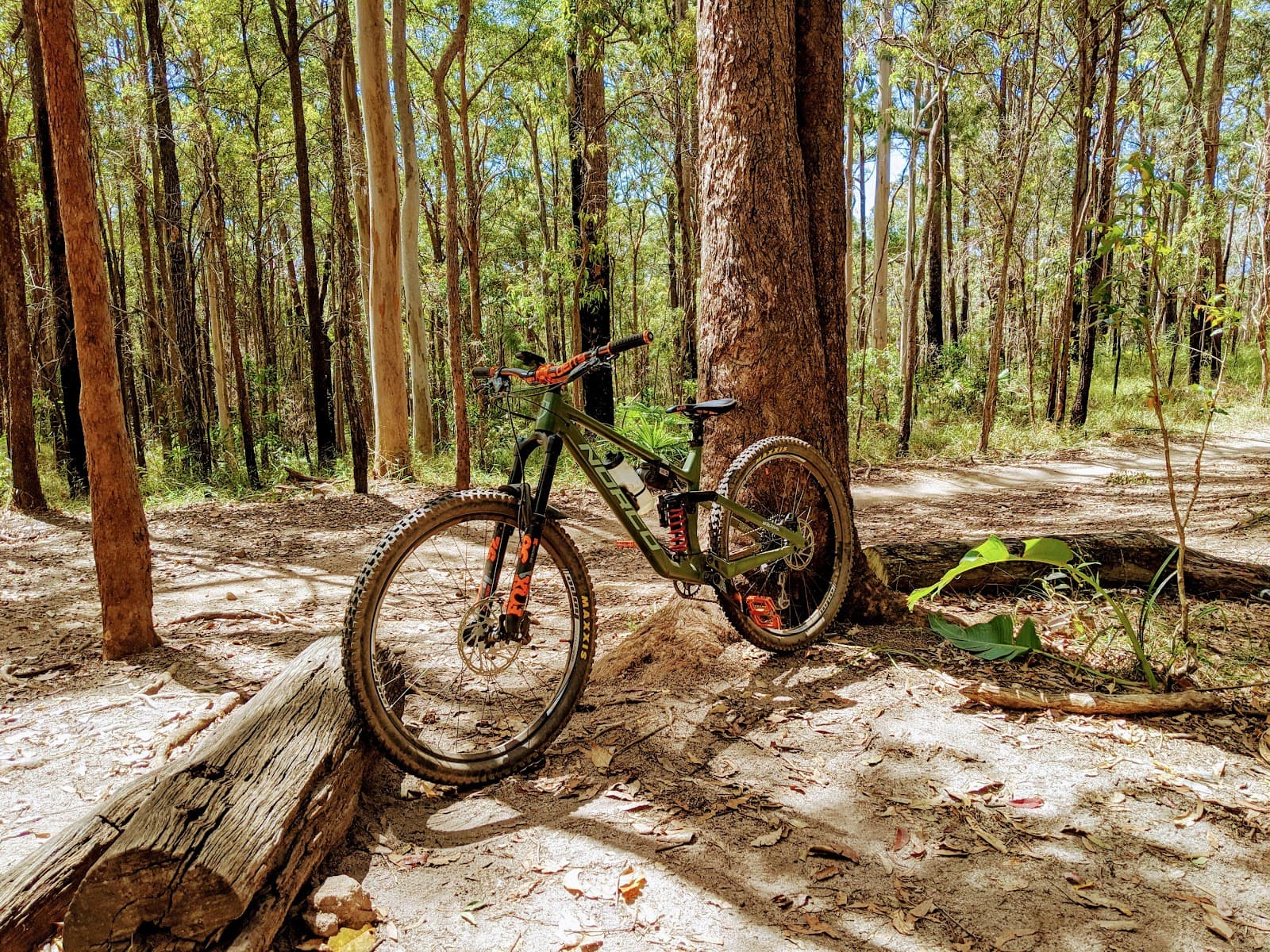 Wooroi Day Use Area — Eumundi, Sunshine Coast