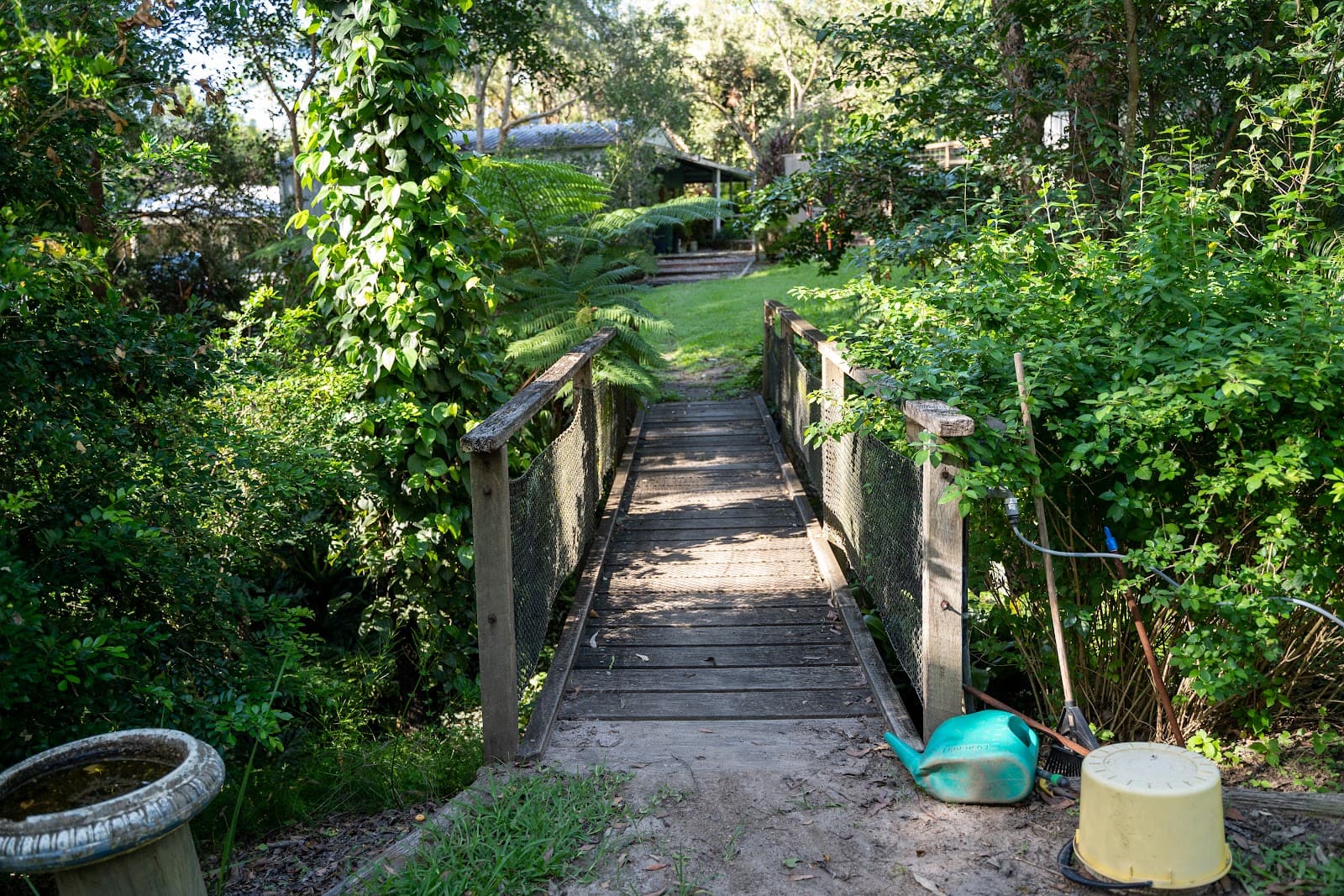 Wildlife Rehabilitation Centre at Eumundi — Eumundi, Sunshine Coast