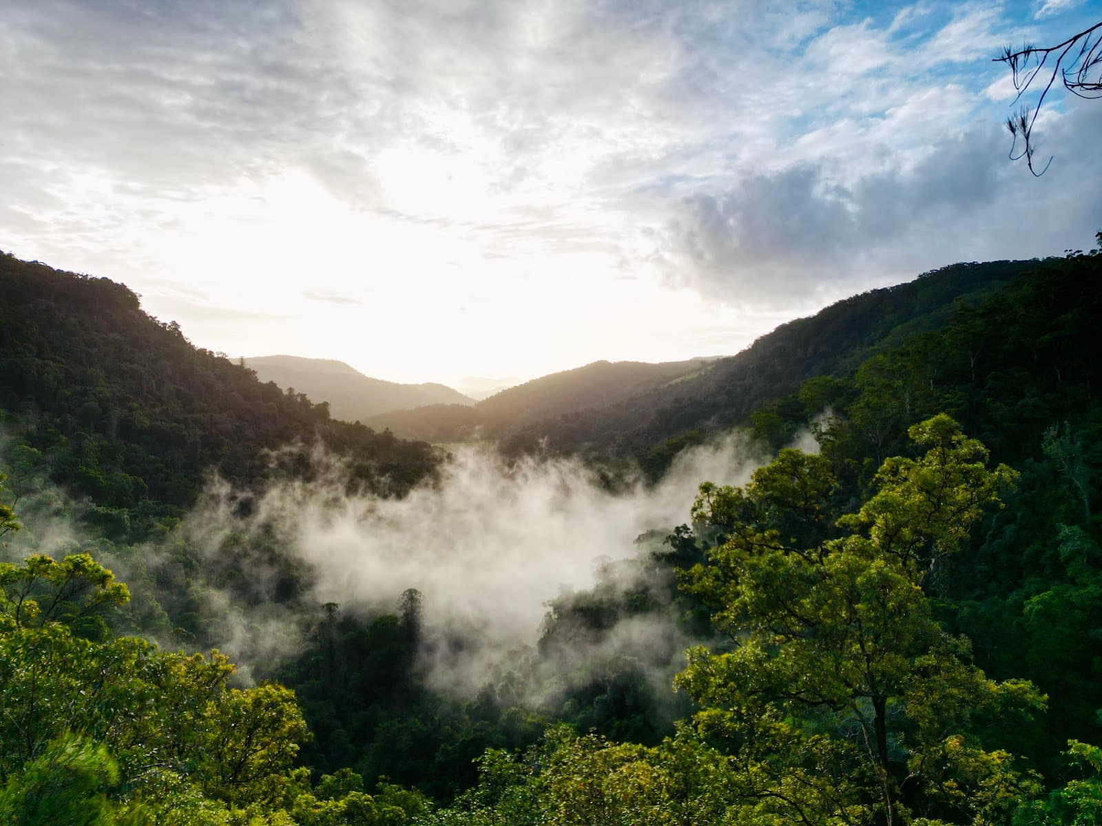 Obi Obi Gorge Lookout — Montville, Sunshine Coast