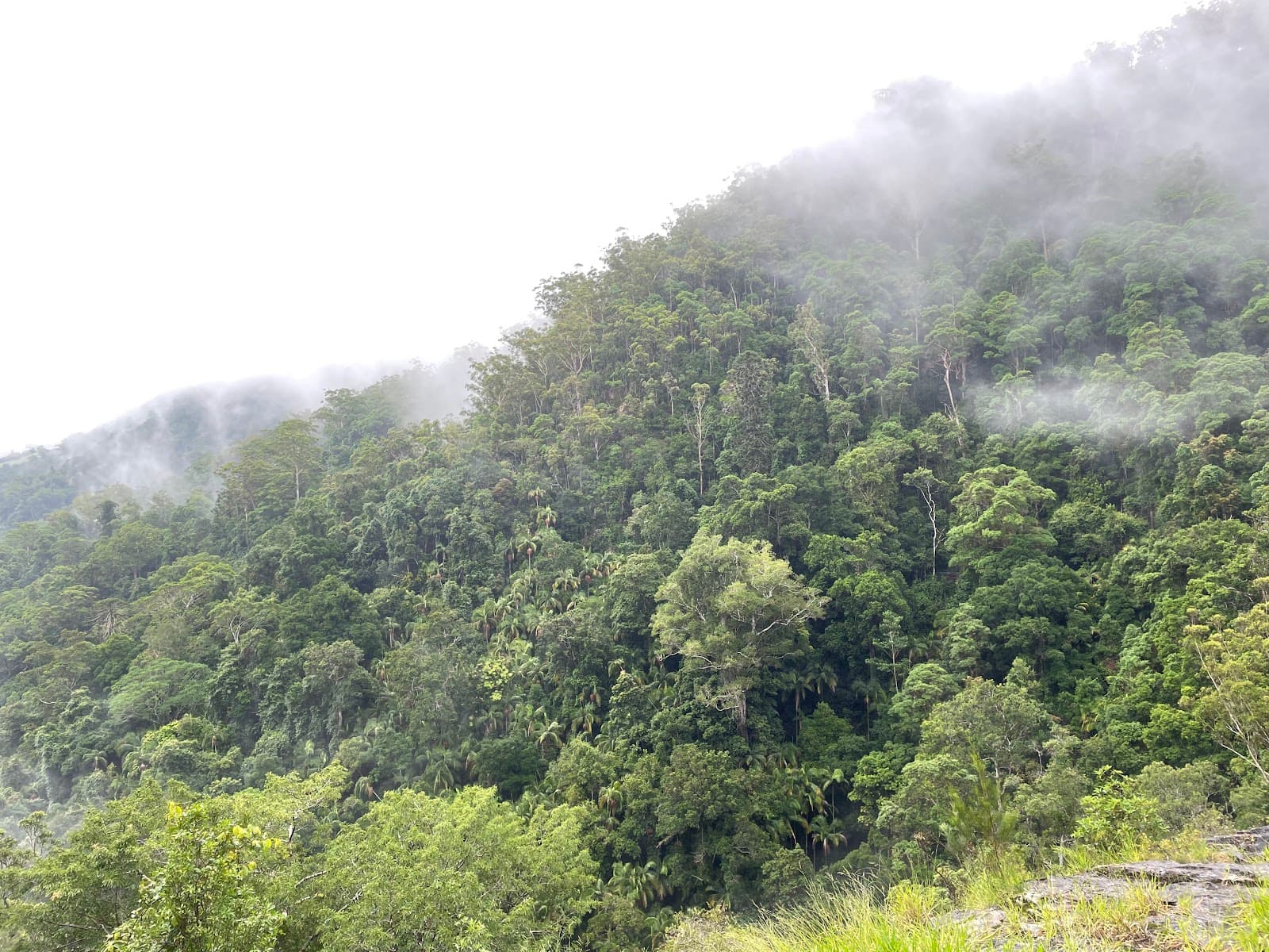 Kondalila Rockpool — Montville, Sunshine Coast