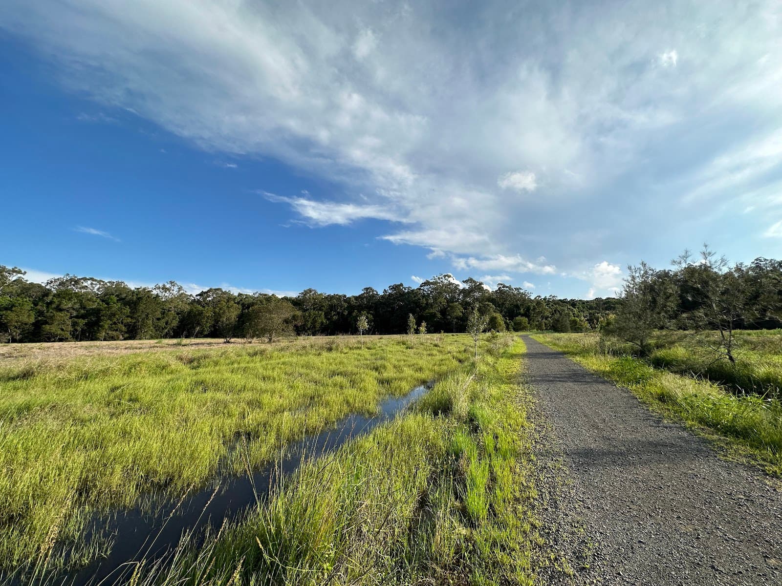 Kawana Forest Bushland Reserve — Kawana Waters, Sunshine Coast