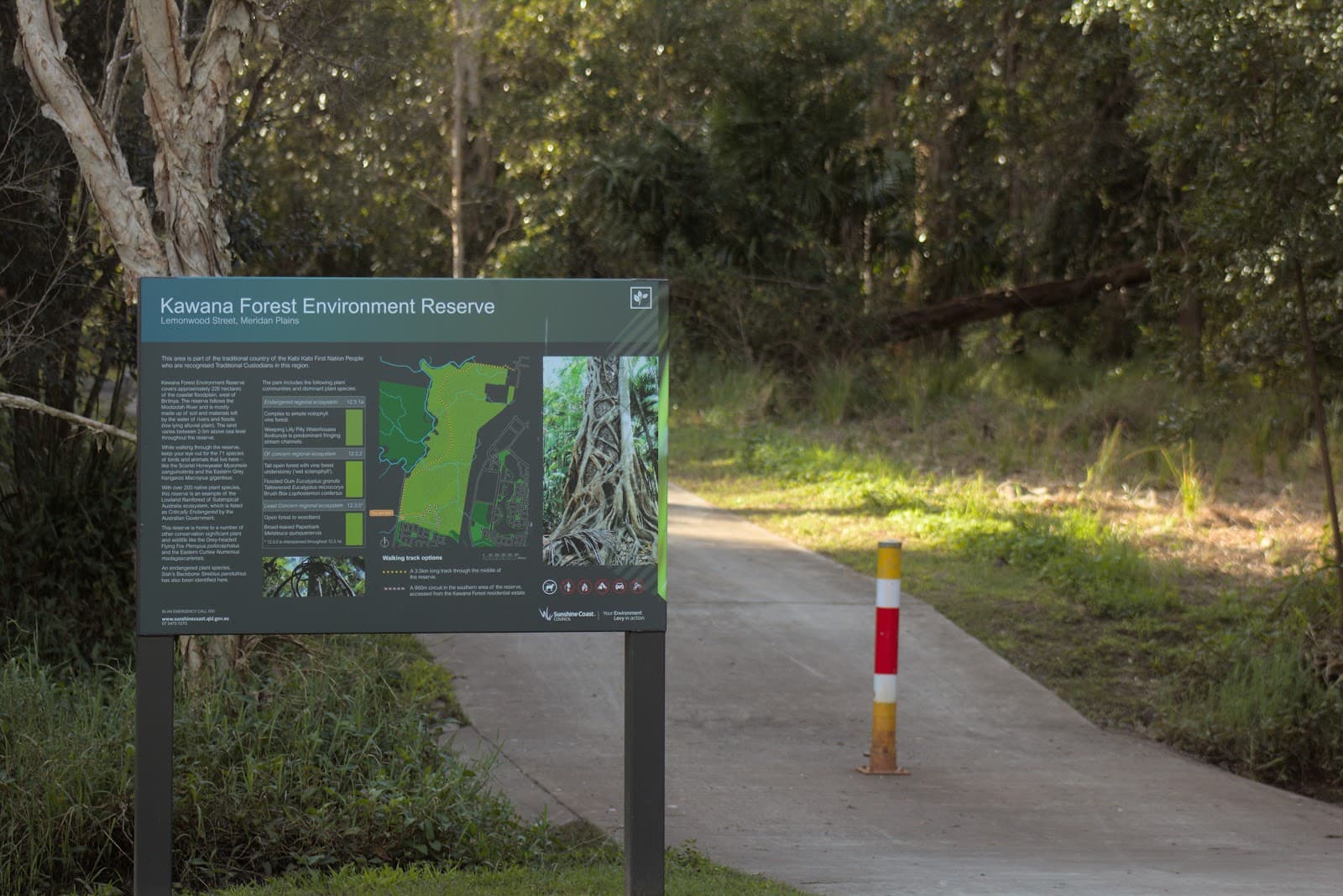 Kawana Forest Walkway — Kawana Waters, Sunshine Coast