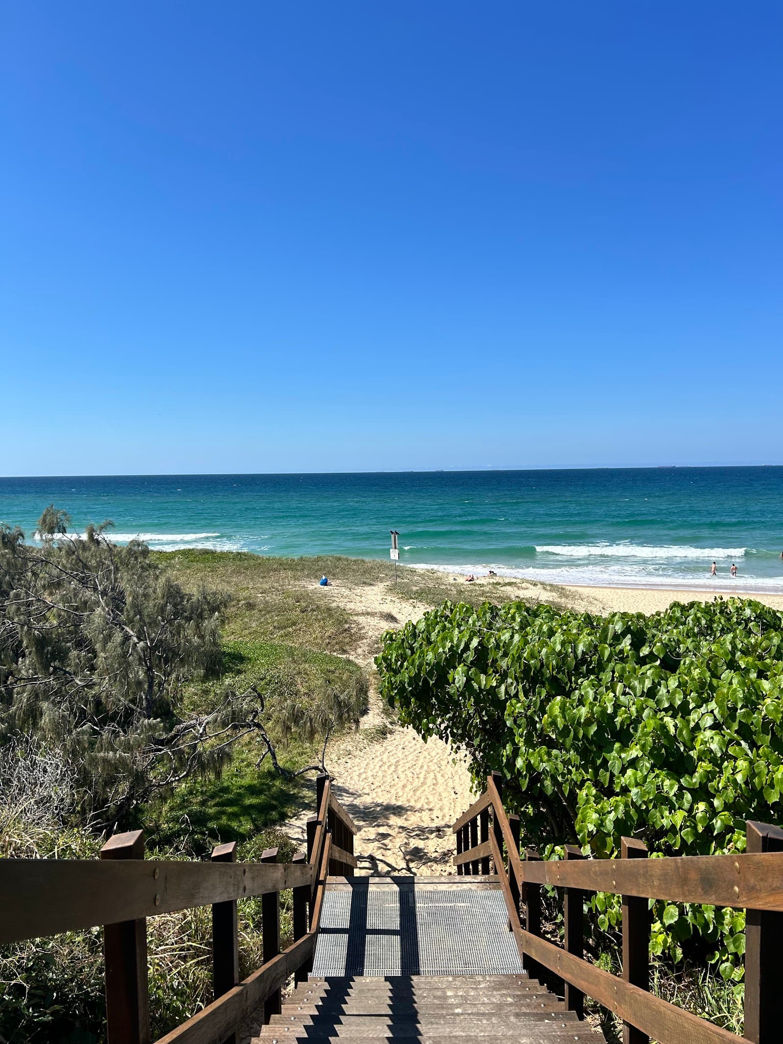 Bokarina Foreshore Bushland Reserve — Kawana Waters, Sunshine Coast