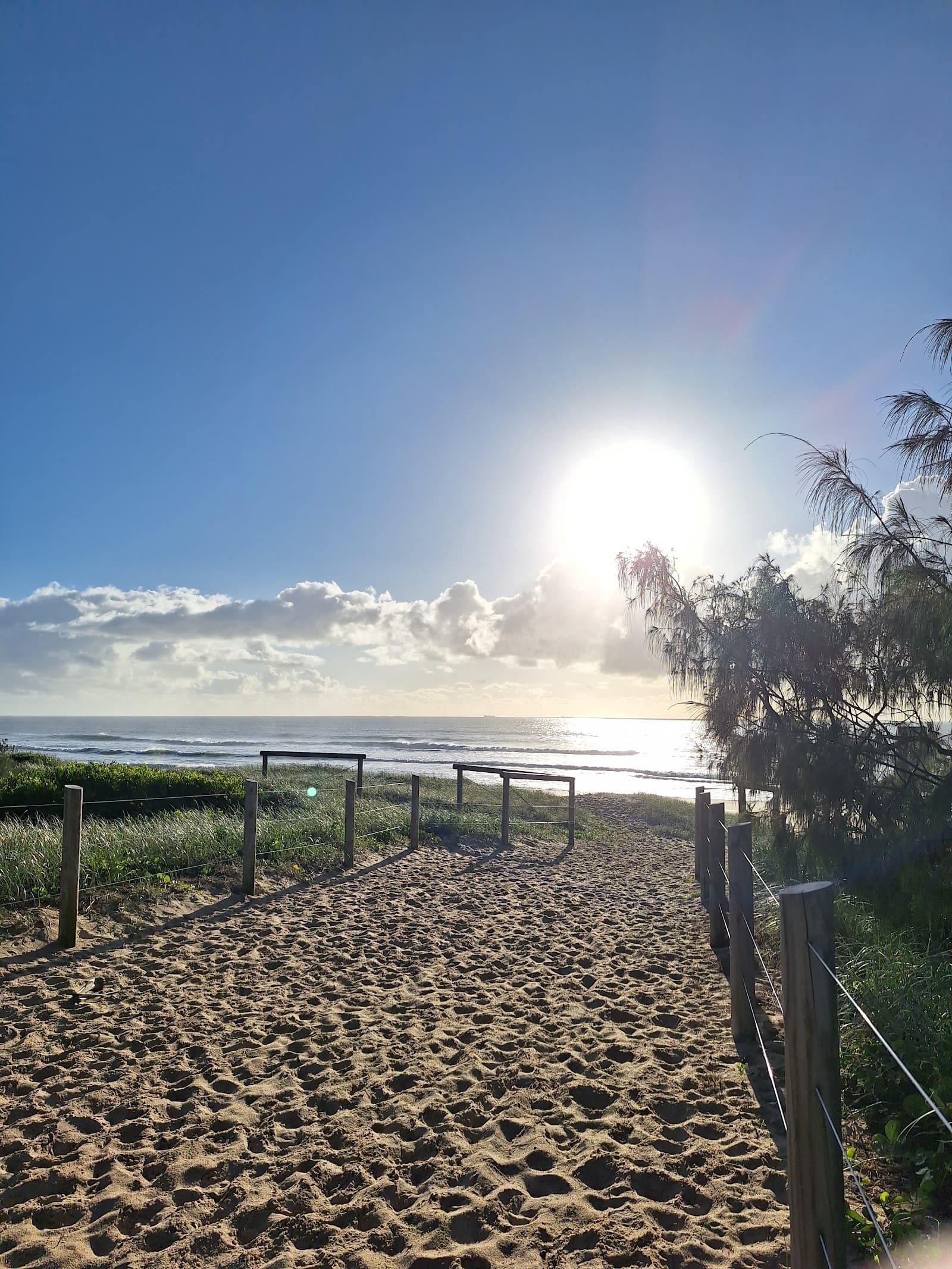 Bokarina Foreshore Bushland Reserve — Kawana Waters, Sunshine Coast