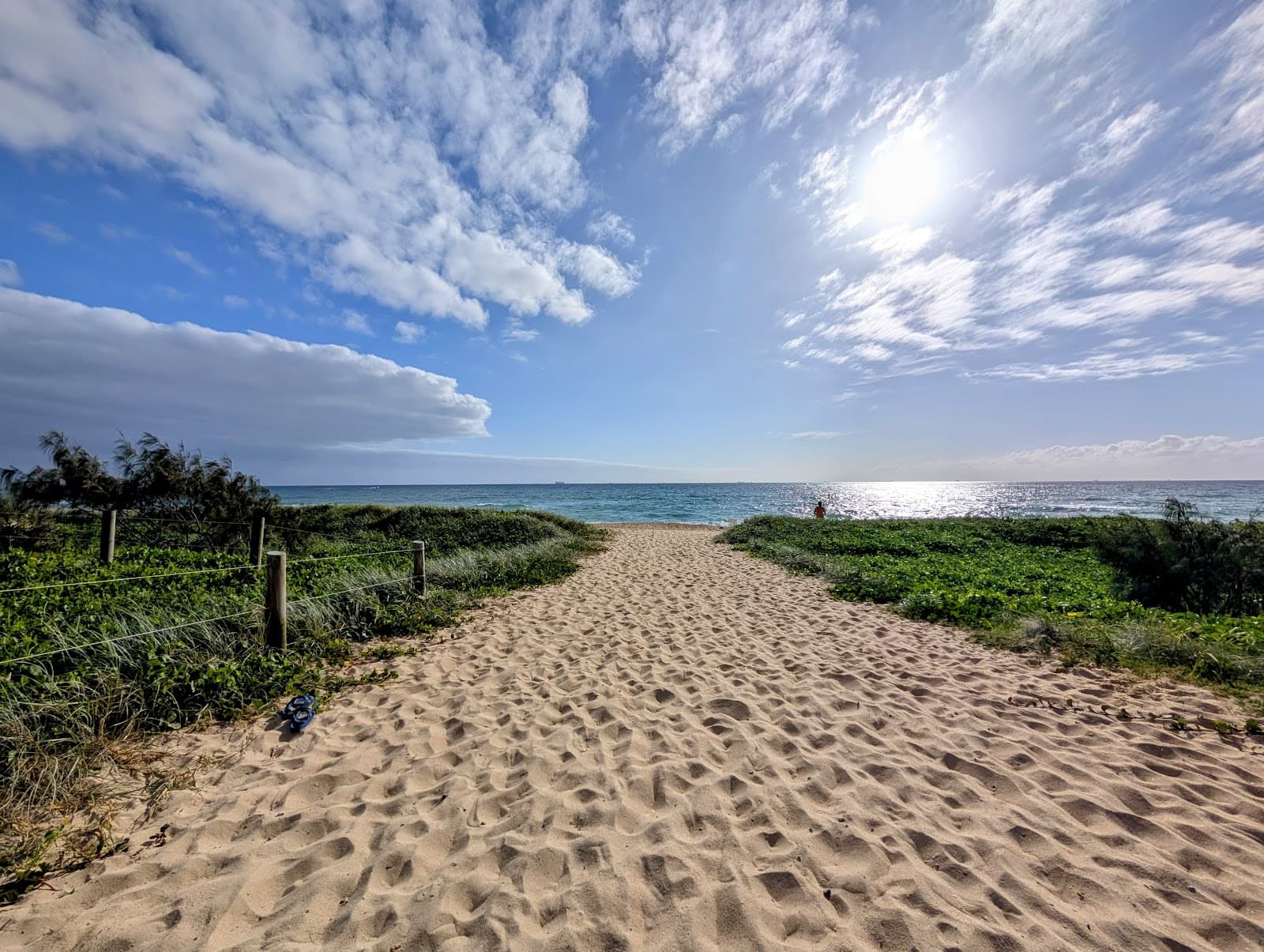 Bokarina Foreshore Bushland Reserve — Kawana Waters, Sunshine Coast