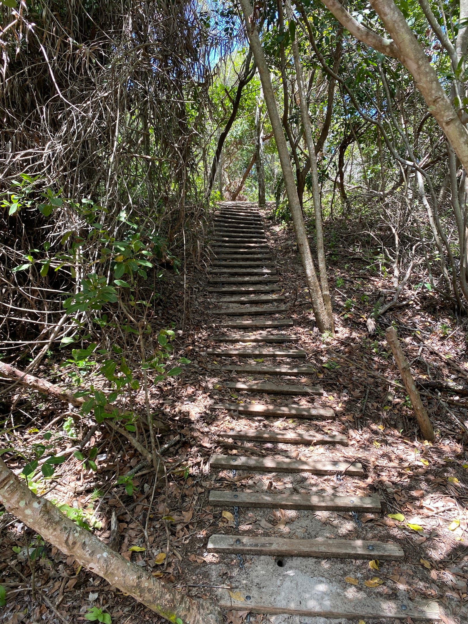 Currimundi Lake (Kathleen McArthur) Conservation Park — Kawana Waters, Sunshine Coast
