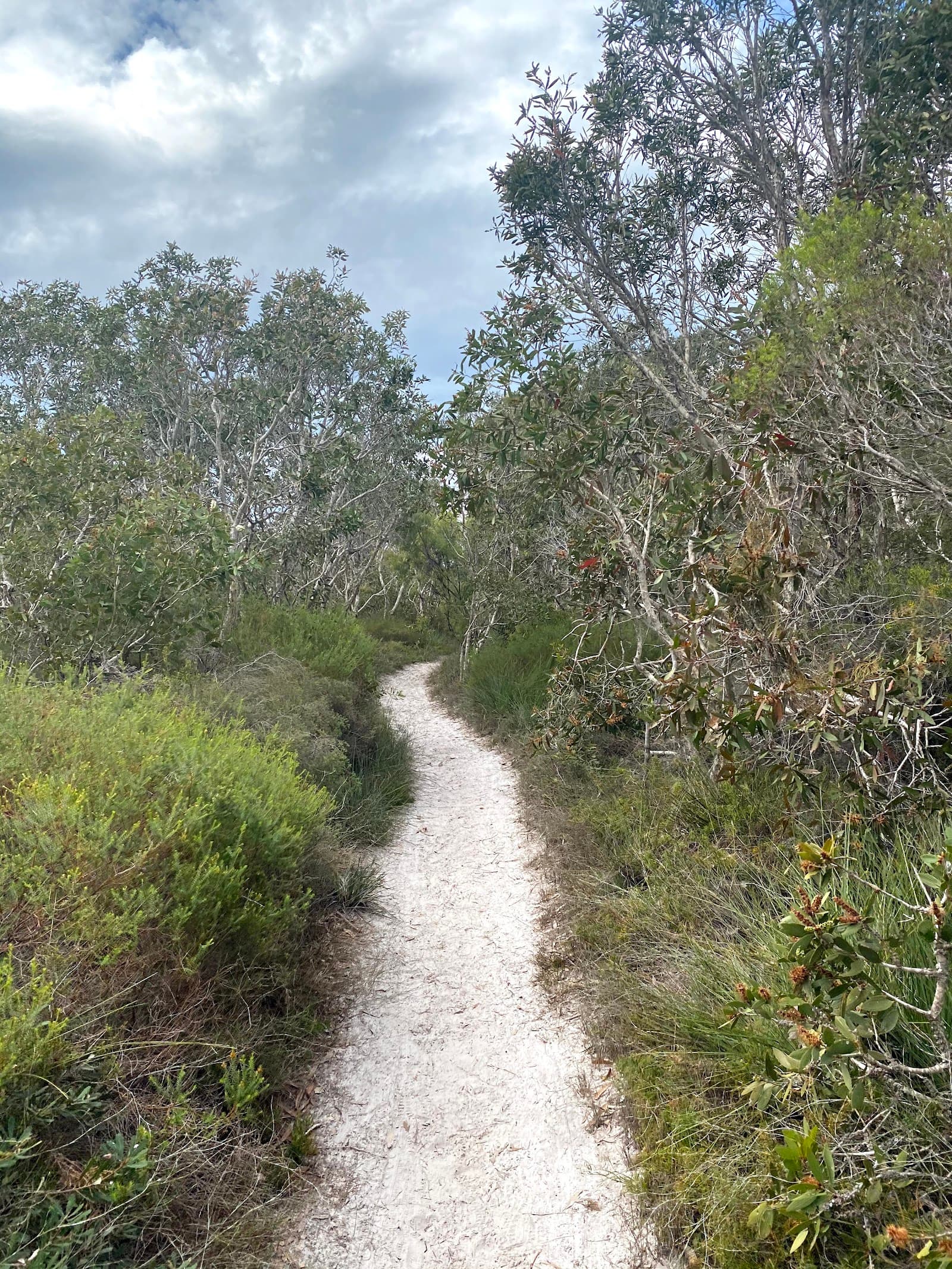 Currimundi Lake (Kathleen McArthur) Conservation Park — Kawana Waters, Sunshine Coast