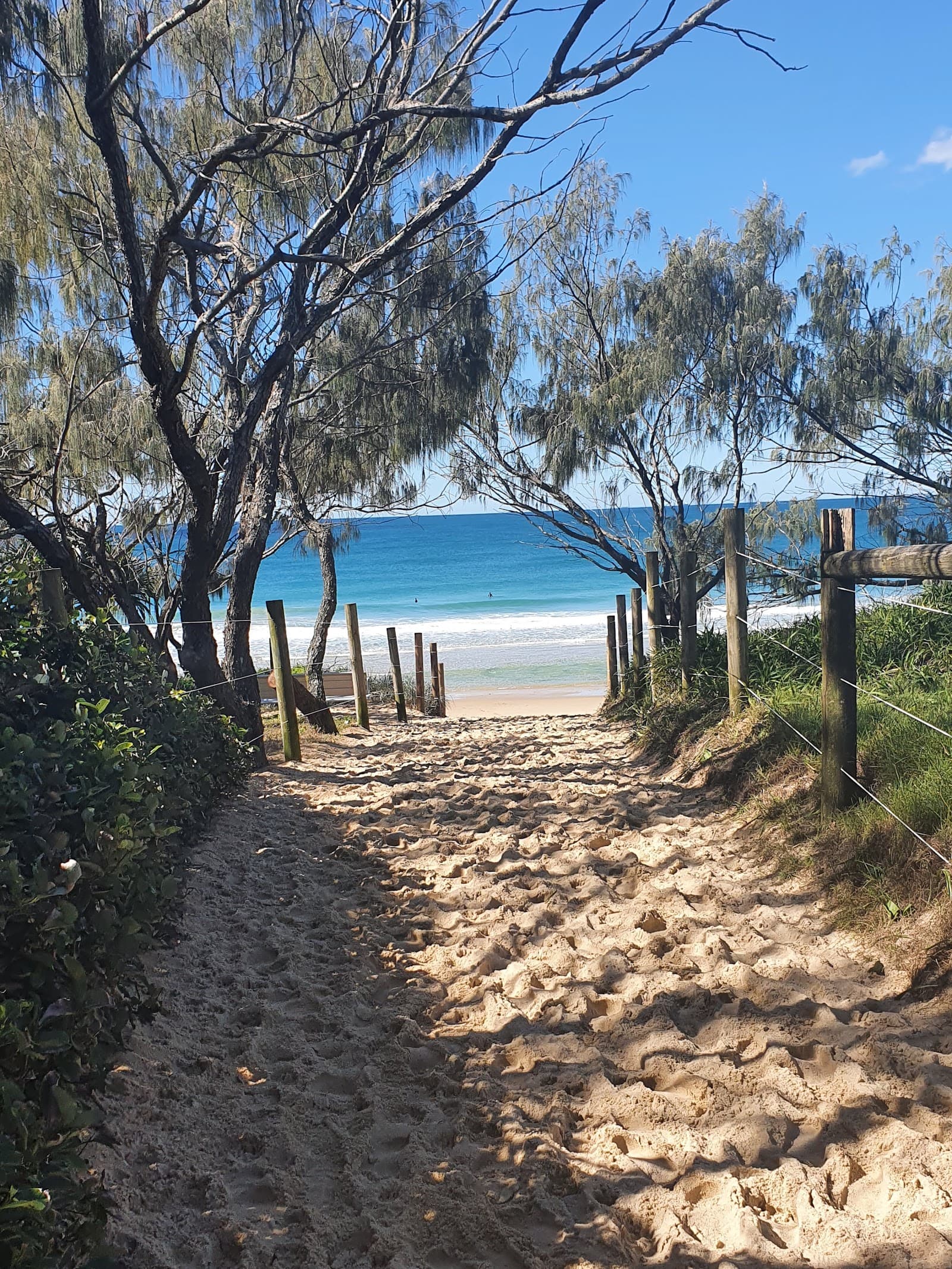 Currimundi Lake (Kathleen McArthur) Conservation Park — Kawana Waters, Sunshine Coast