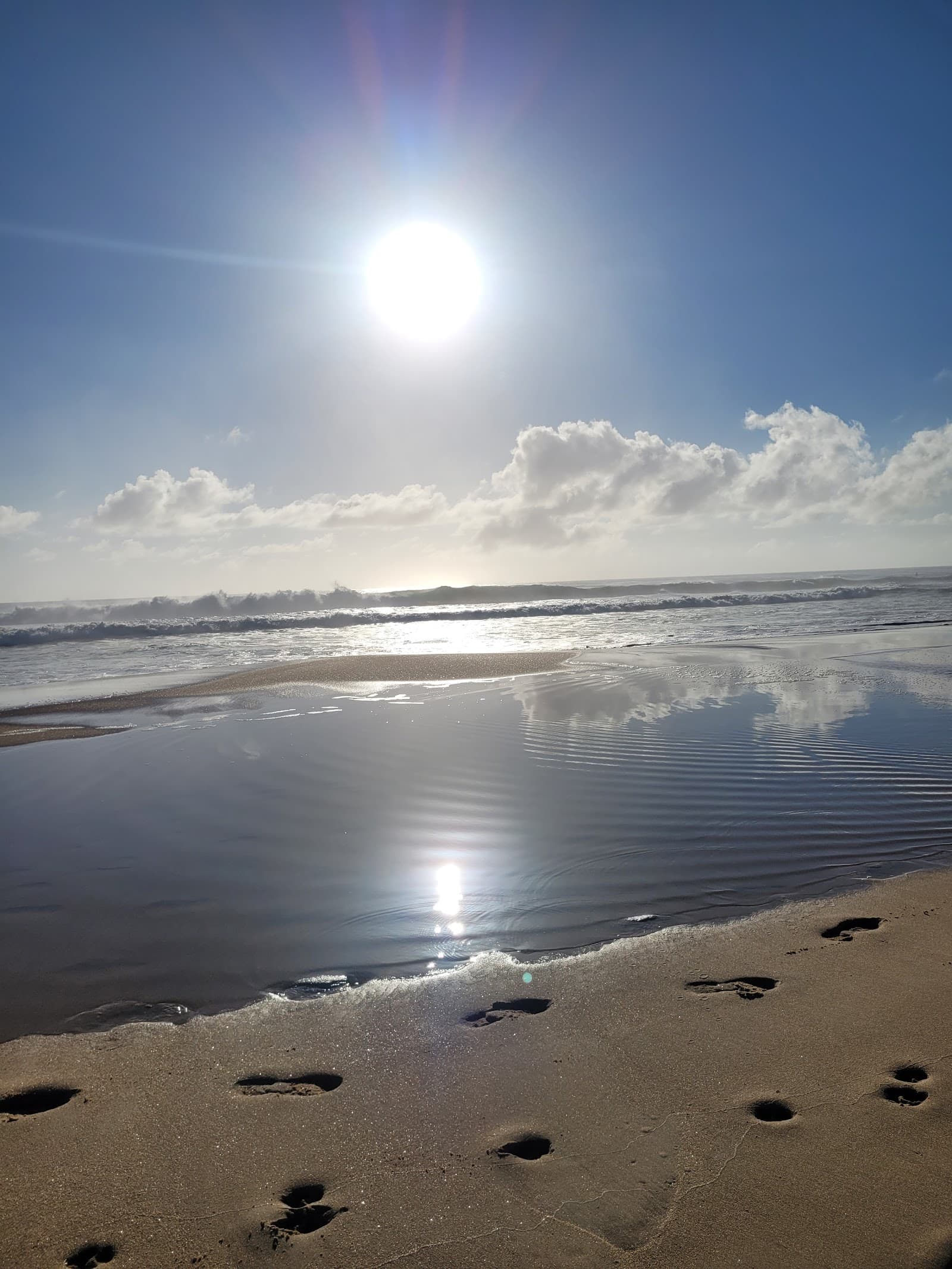 Warana Foreshore Bushland Reserve — Kawana Waters, Sunshine Coast