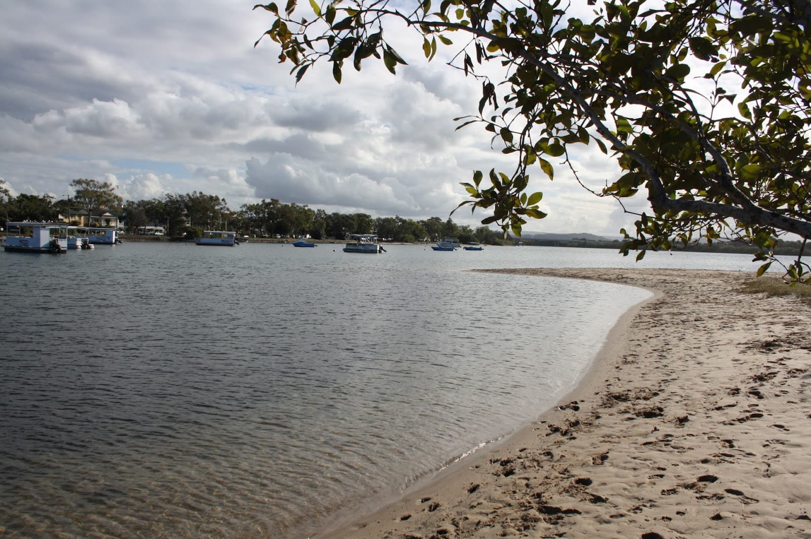 Picnic Area on River — Maroochydore, Sunshine Coast