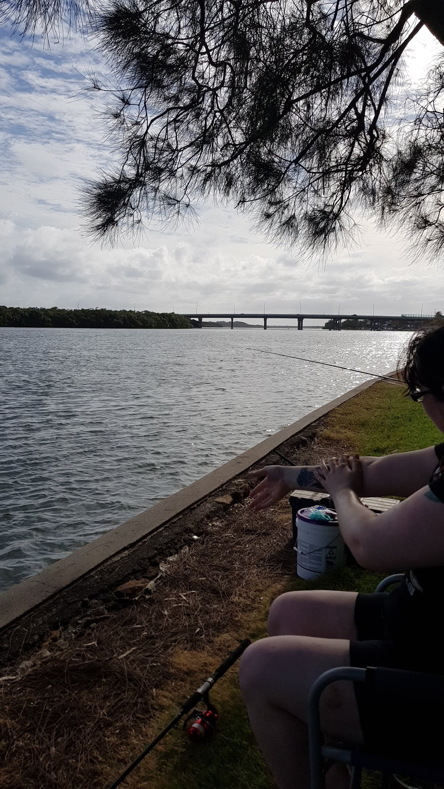 The Cod Hole — Maroochydore, Sunshine Coast