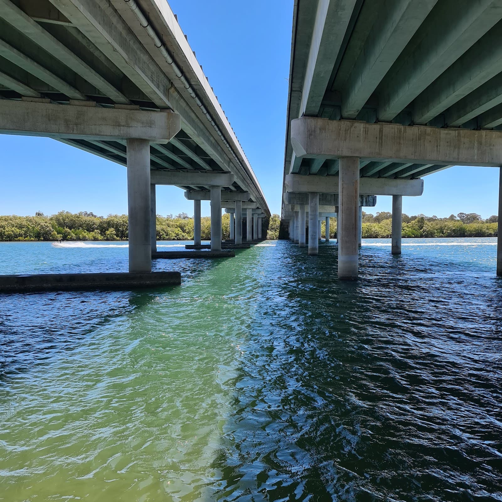 The Cod Hole — Maroochydore, Sunshine Coast