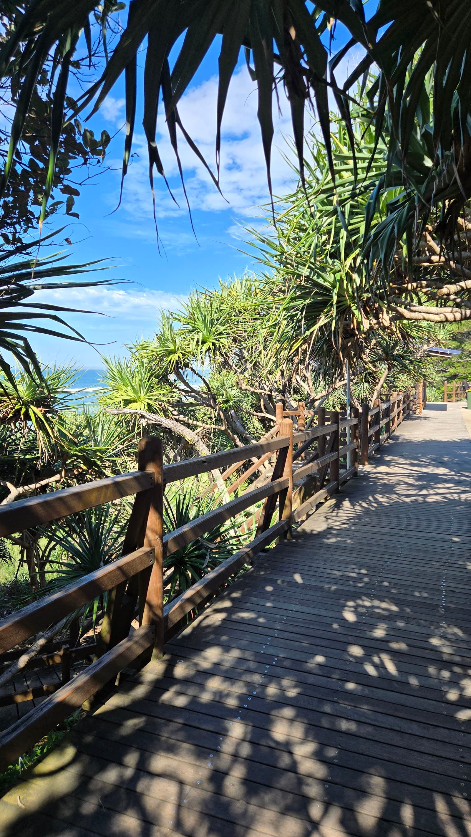 Point Cartwright Beach Lookout — Kawana Waters, Sunshine Coast