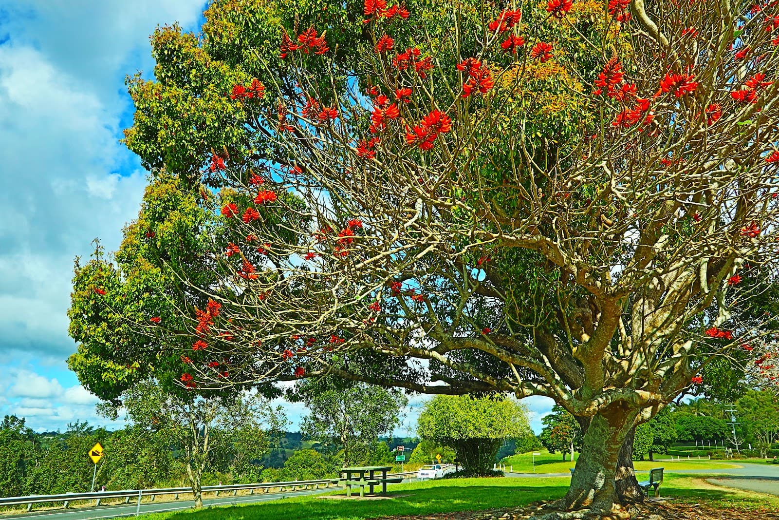 Balmoral Lookout — Montville, Sunshine Coast
