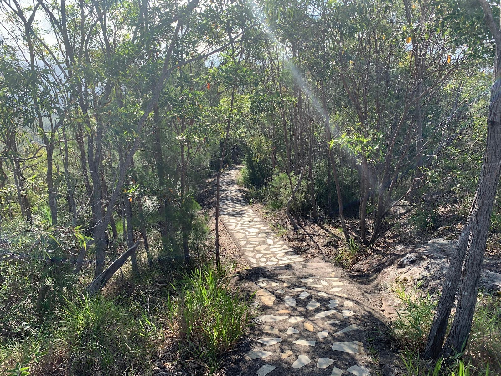 Mount Tinbeerwah Lookout — Marcoola, Sunshine Coast