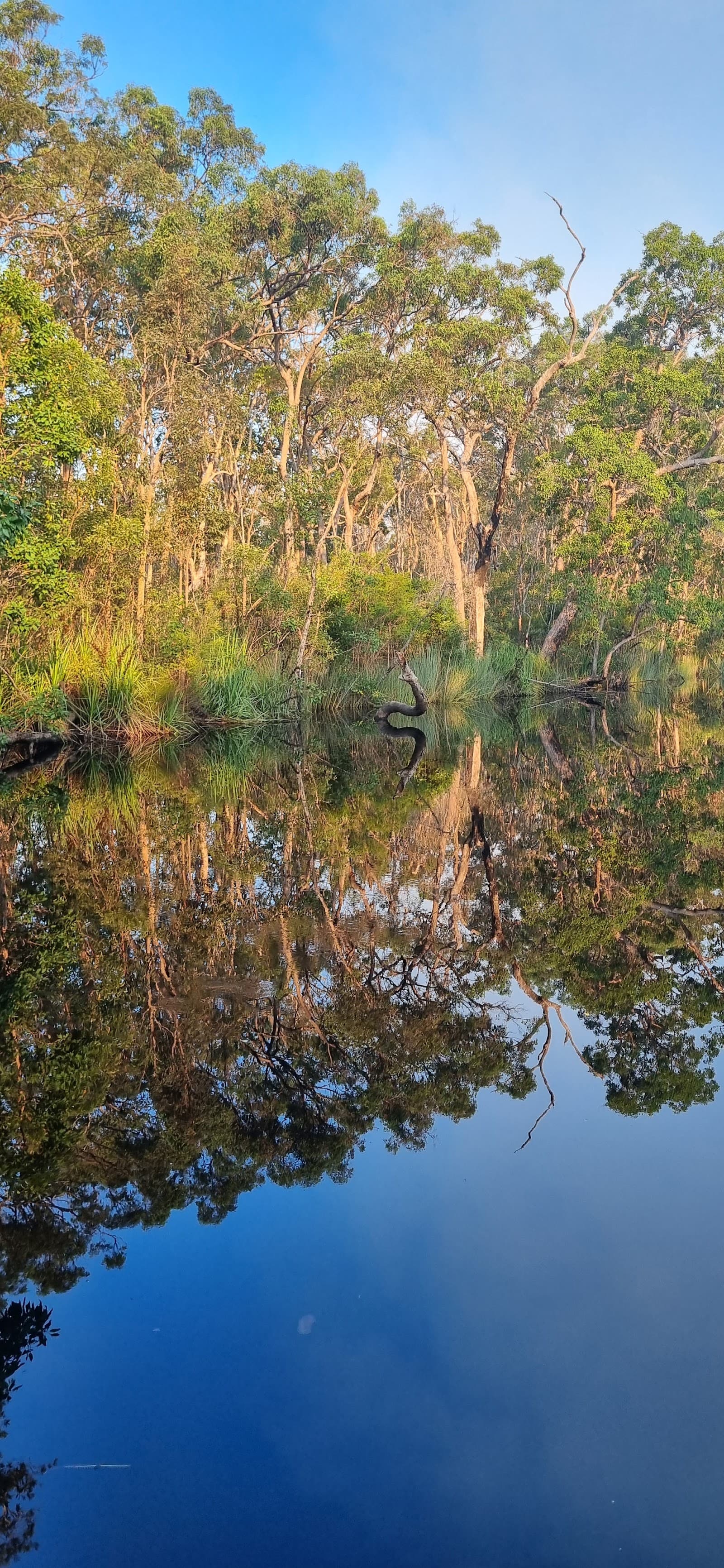 Twin Hills View Lookout — Noosaville, Sunshine Coast