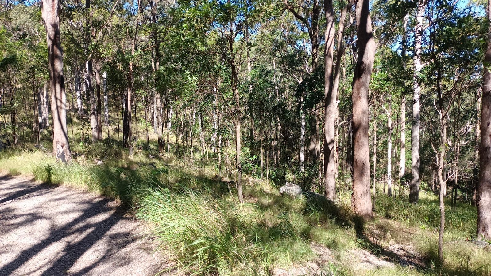 Mount Ninderry Lookout — Marcoola, Sunshine Coast