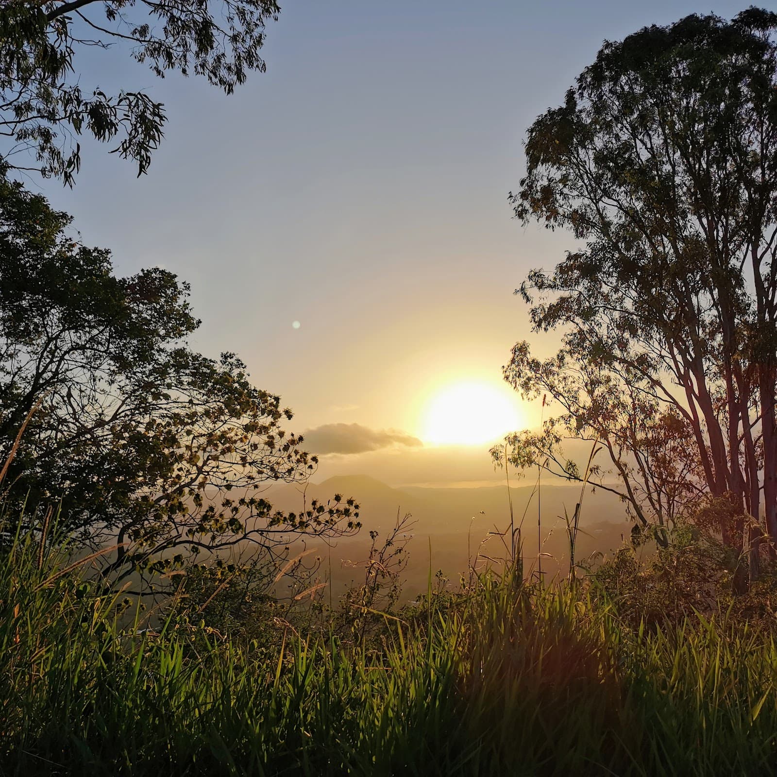 Bicentennial Lookout — Eumundi, Sunshine Coast
