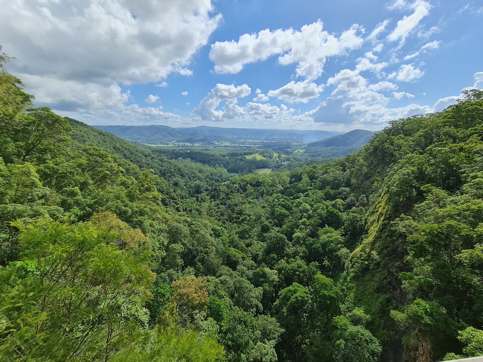 Mapleton Falls lookout — Montville, Sunshine Coast