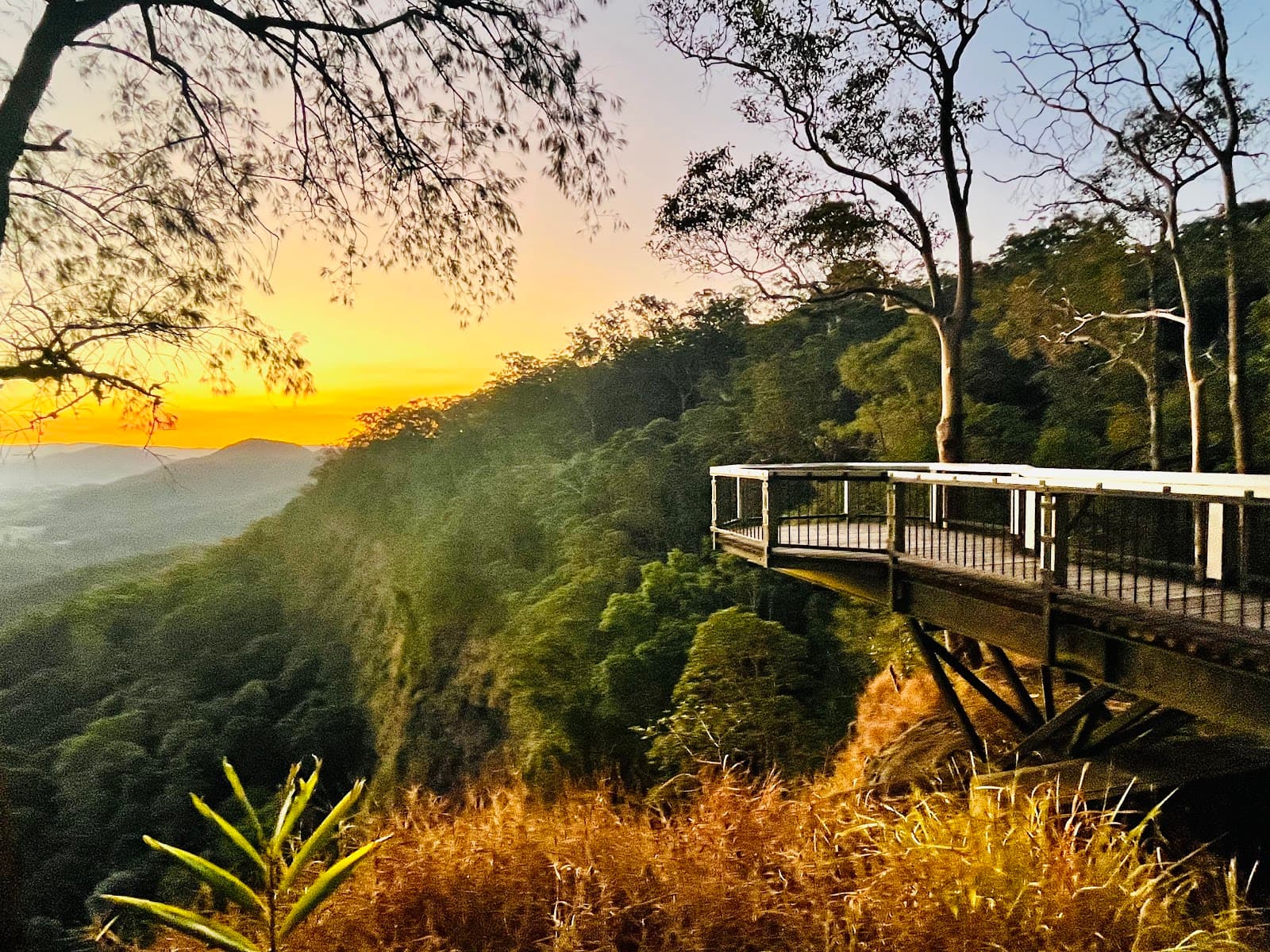 Mapleton Falls lookout — Montville, Sunshine Coast