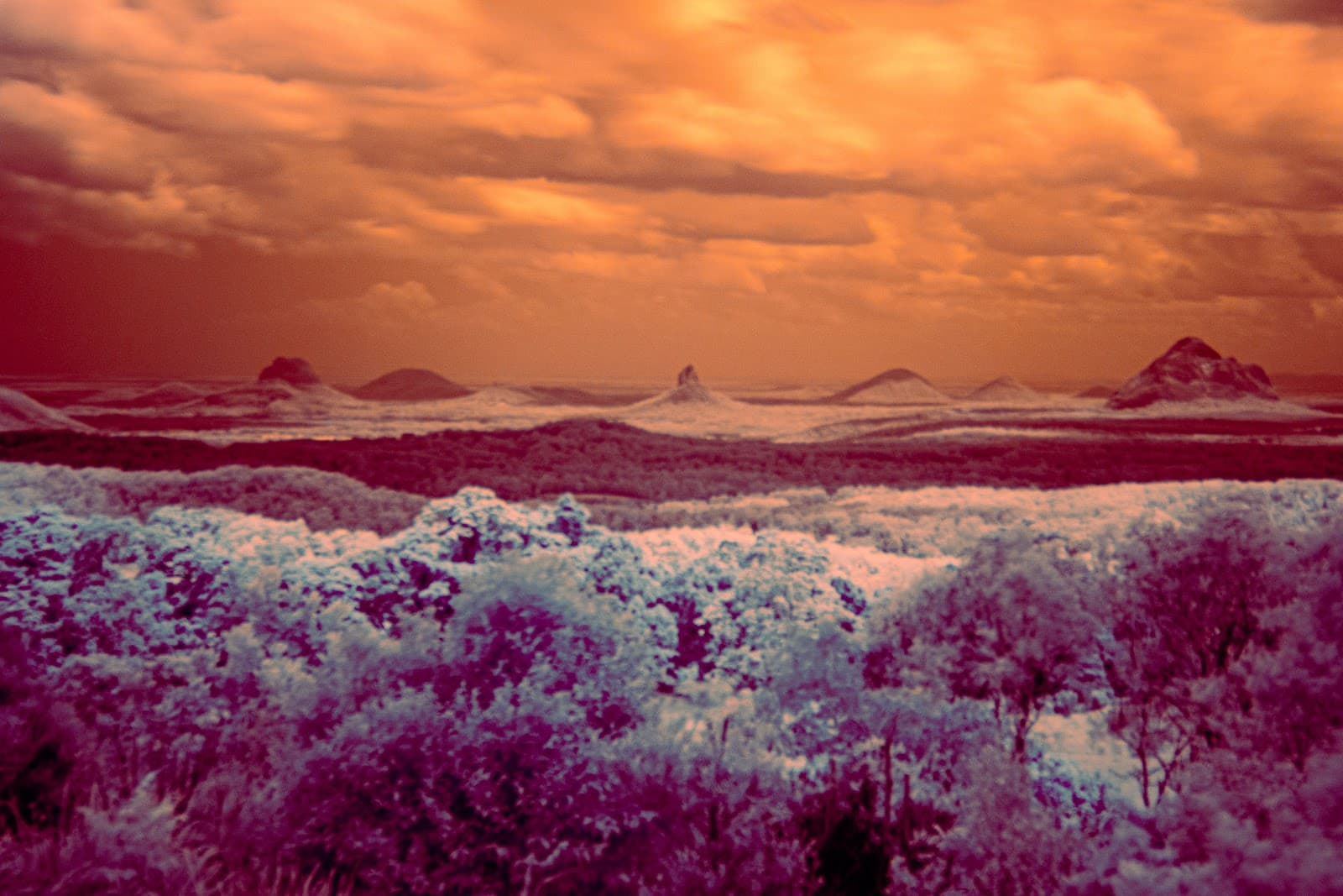 Mountain View Lookout — Montville, Sunshine Coast