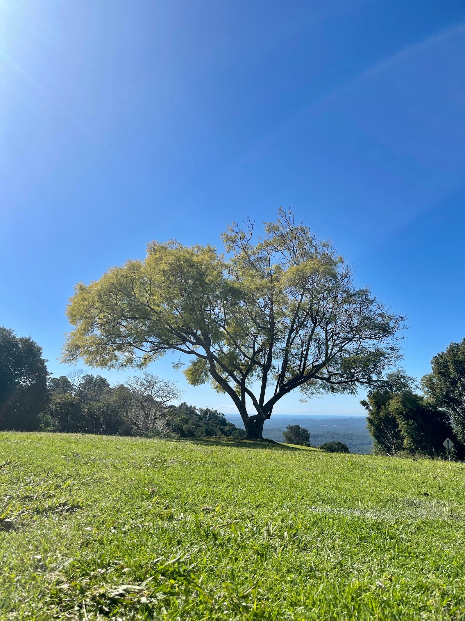 Balmoral Ridge Lookout Park — Montville, Sunshine Coast