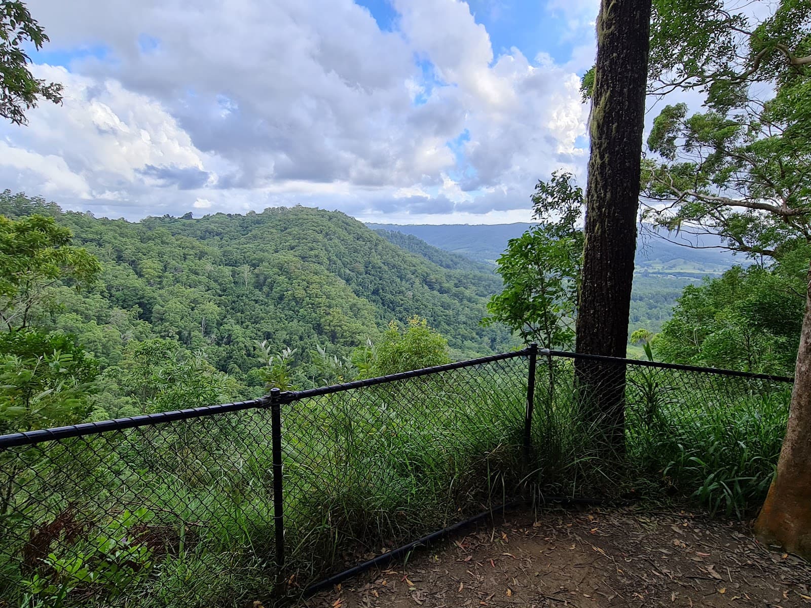 Peregrine Lookout — Montville, Sunshine Coast