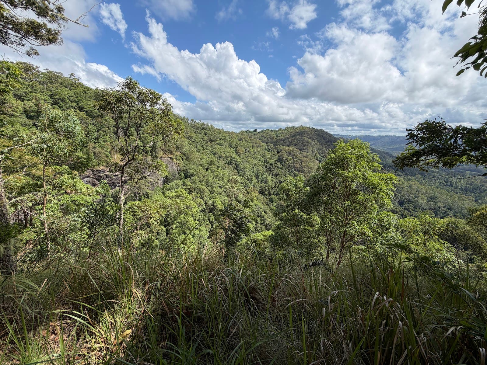 Peregrine Lookout — Montville, Sunshine Coast