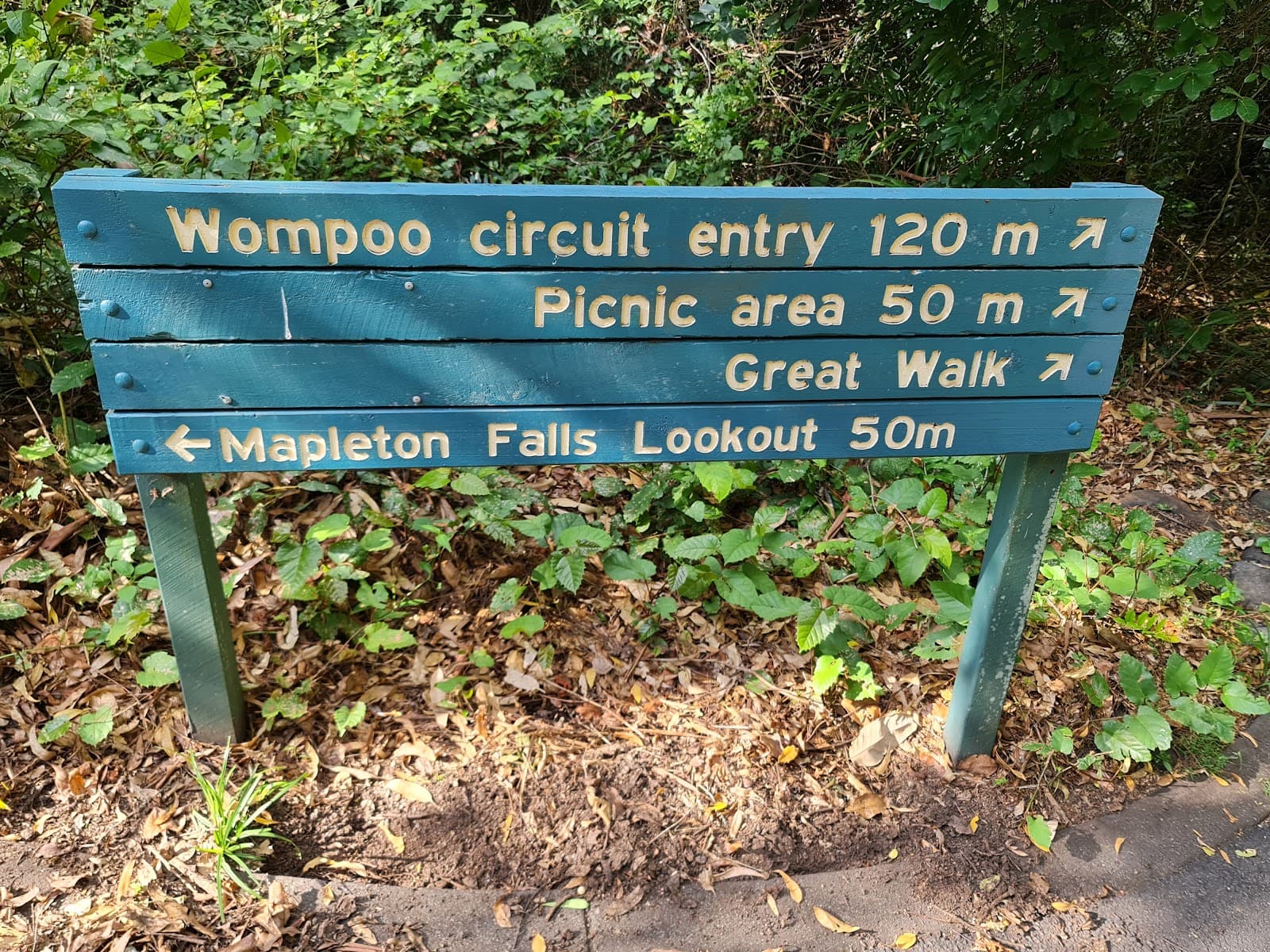 Peregrine Lookout — Montville, Sunshine Coast