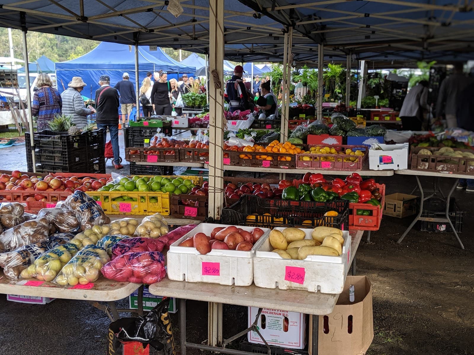 Yandina Markets - Saturday — Buderim, Sunshine Coast