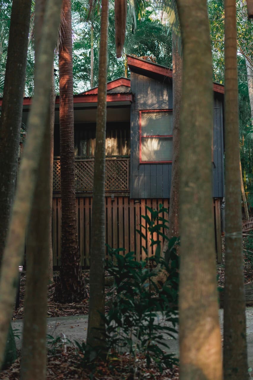 Amore on Buderim Rainforest Cabins — Buderim, Sunshine Coast